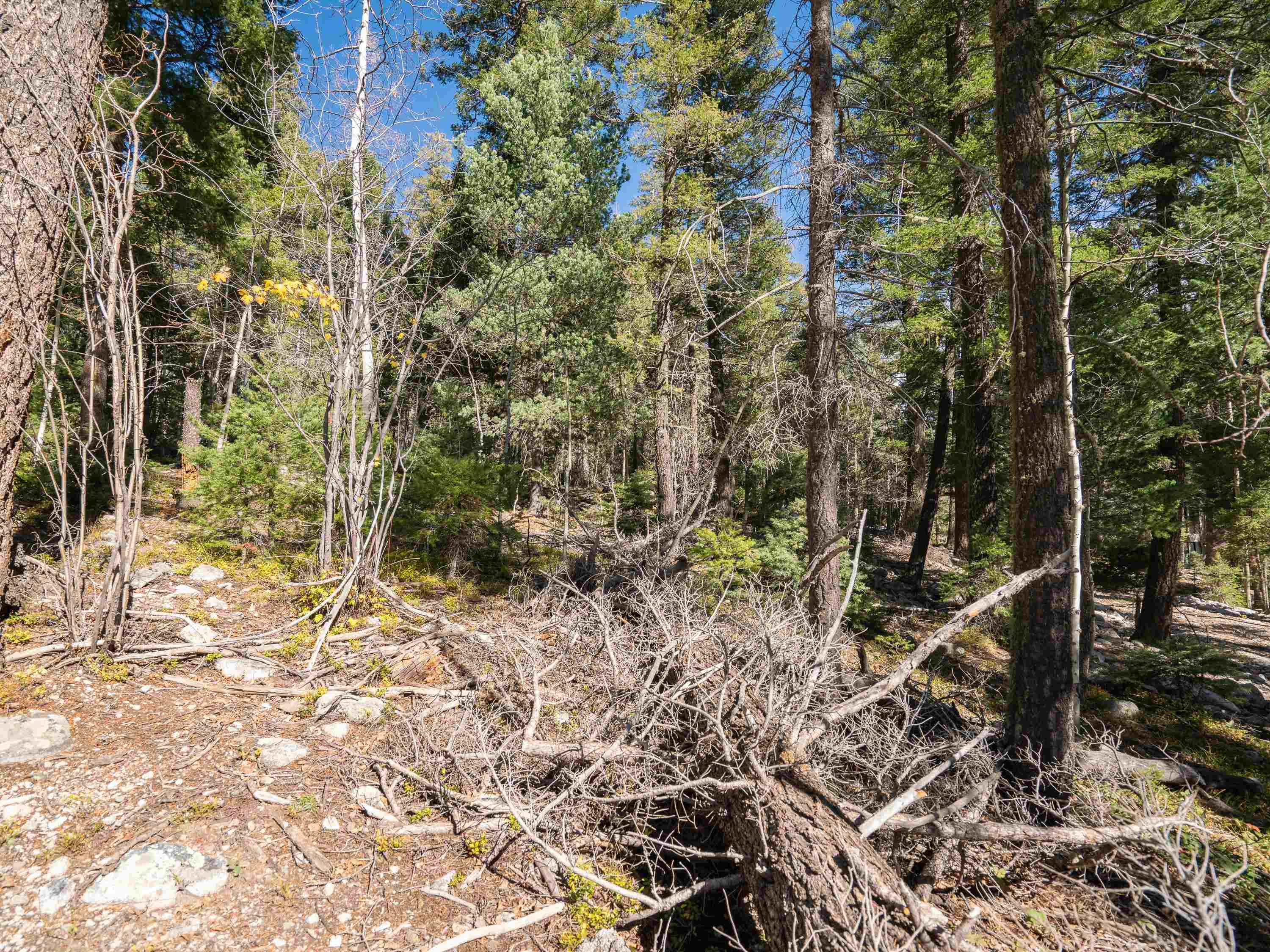 Lot 9 Emma Road, Taos Ski Valley, New Mexico image 9