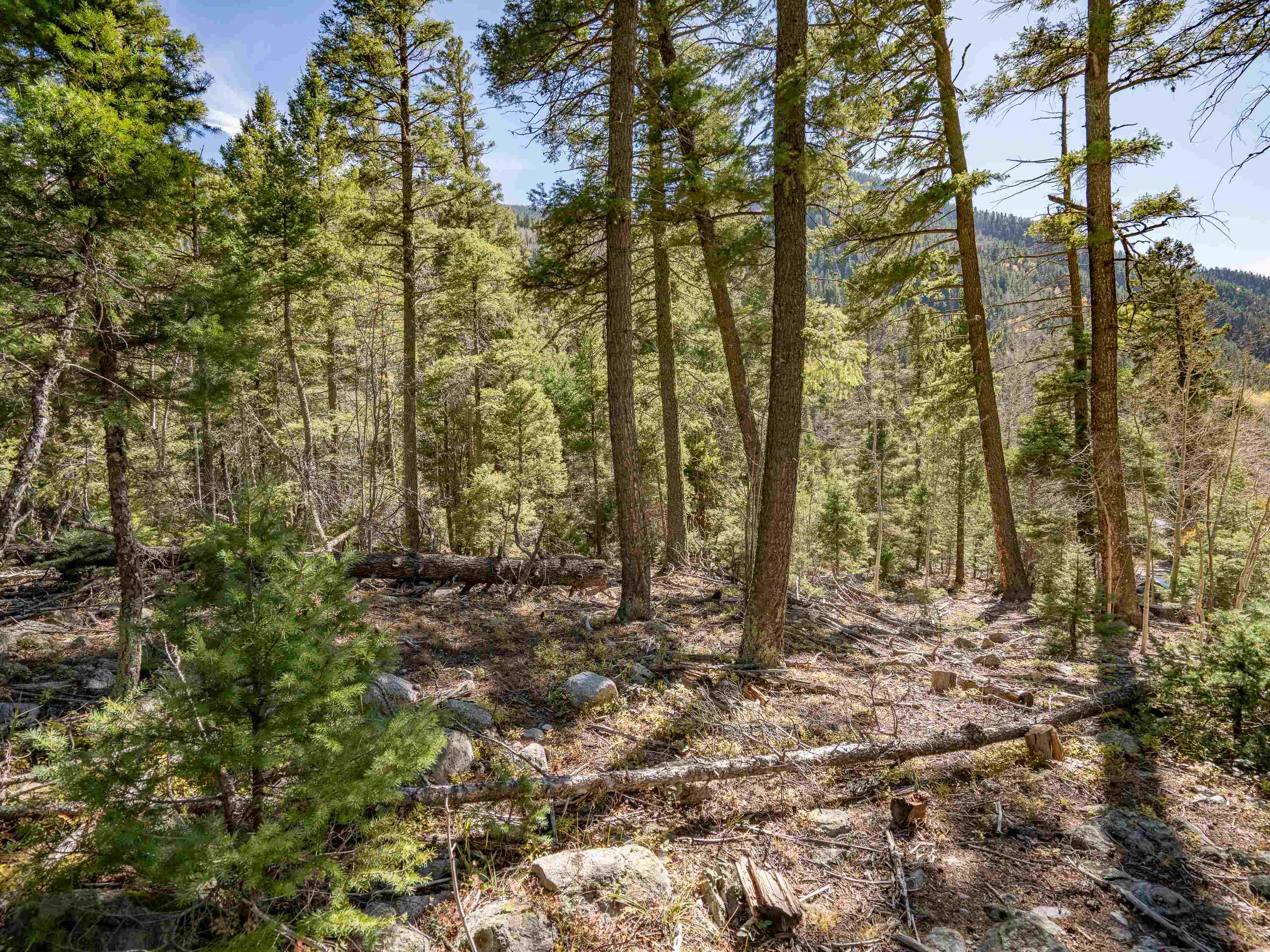 Lot 9 Emma Road, Taos Ski Valley, New Mexico image 14