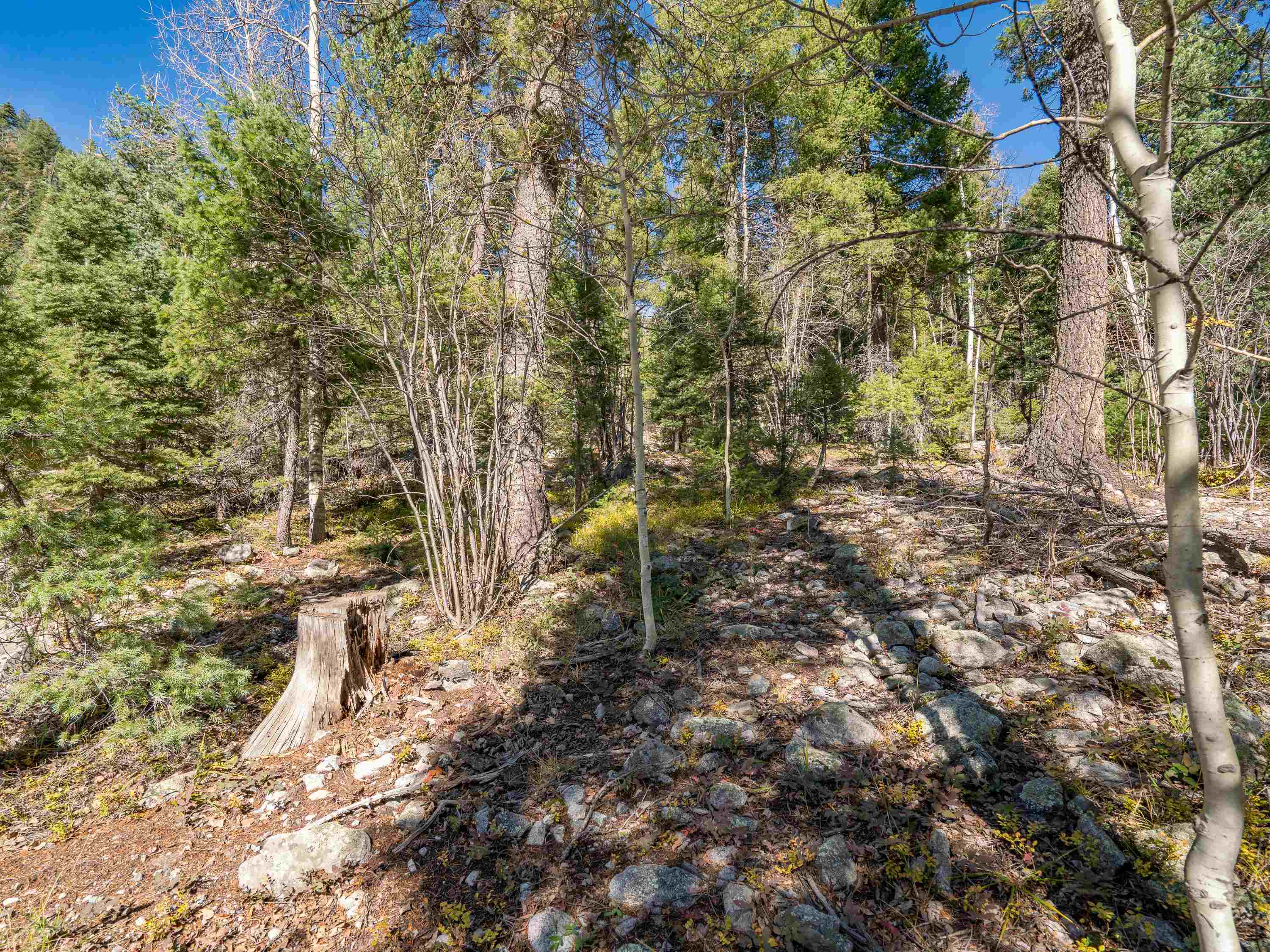 Lot 9 Emma Road, Taos Ski Valley, New Mexico image 8