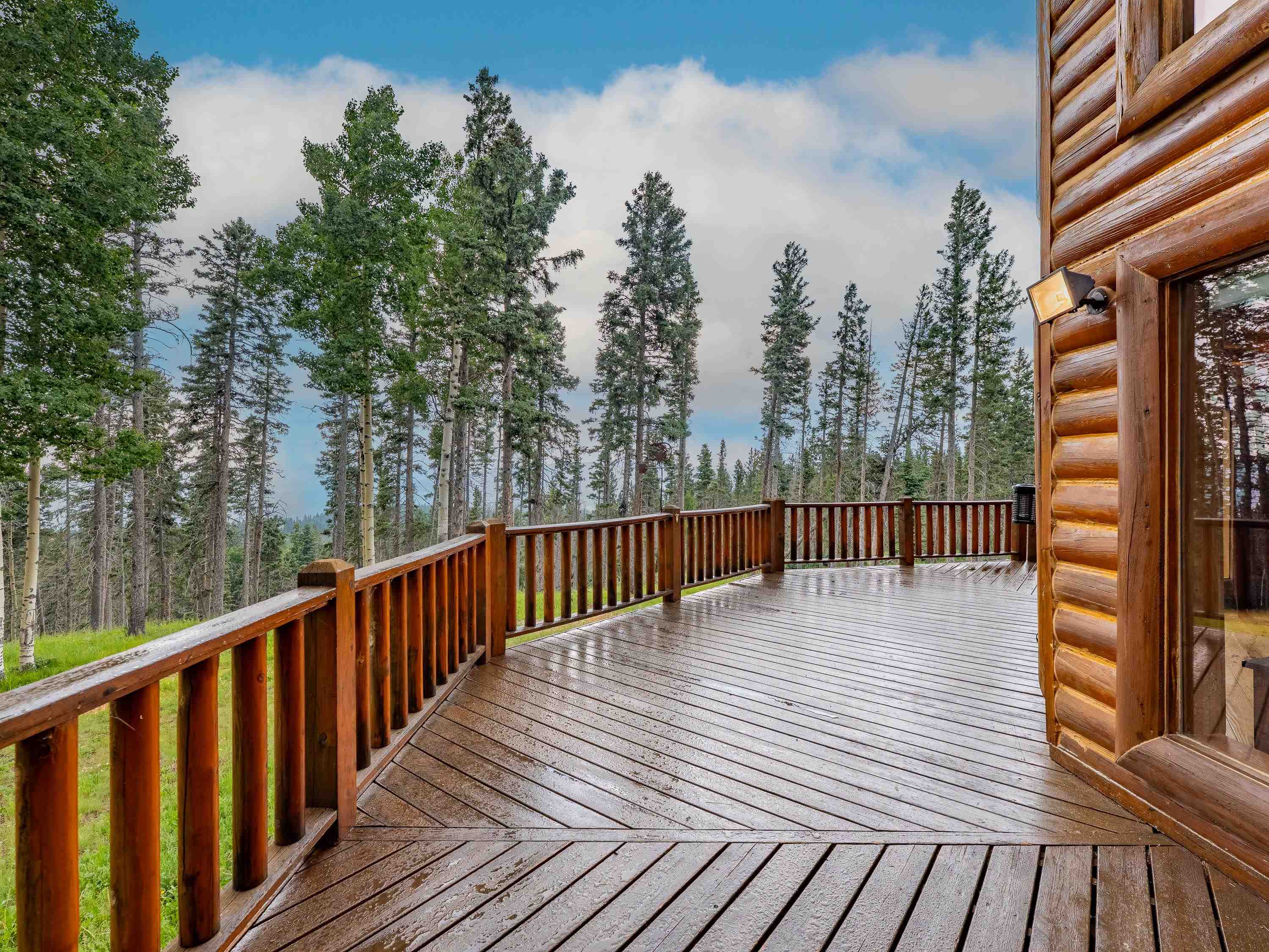 Angel Fire, New Mexico 87710, United States, 3 Bedrooms Bedrooms, ,3 BathroomsBathrooms,Residential,Active,174226