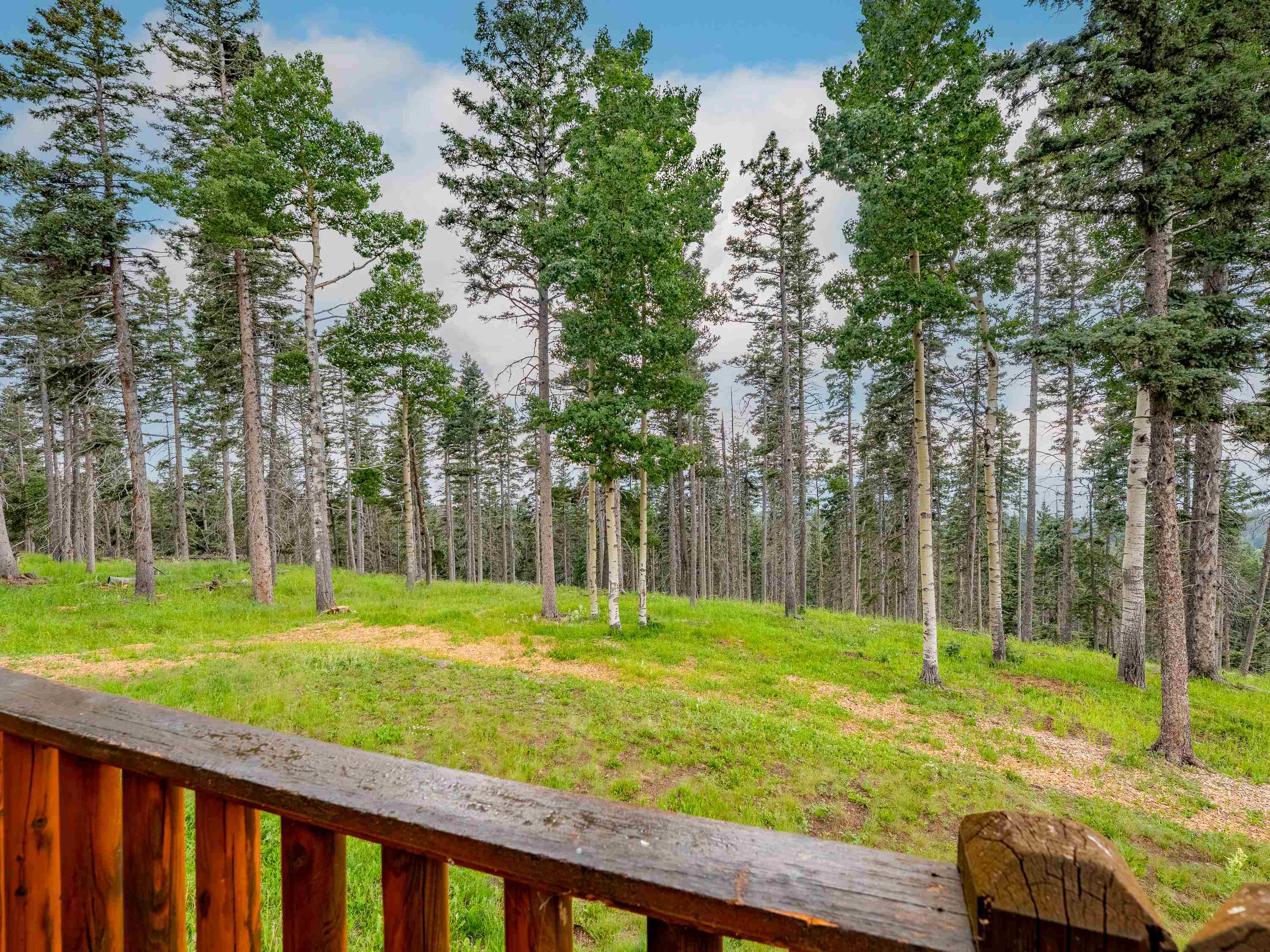 Angel Fire, New Mexico 87710, United States, 3 Bedrooms Bedrooms, ,3 BathroomsBathrooms,Residential,Active,174226
