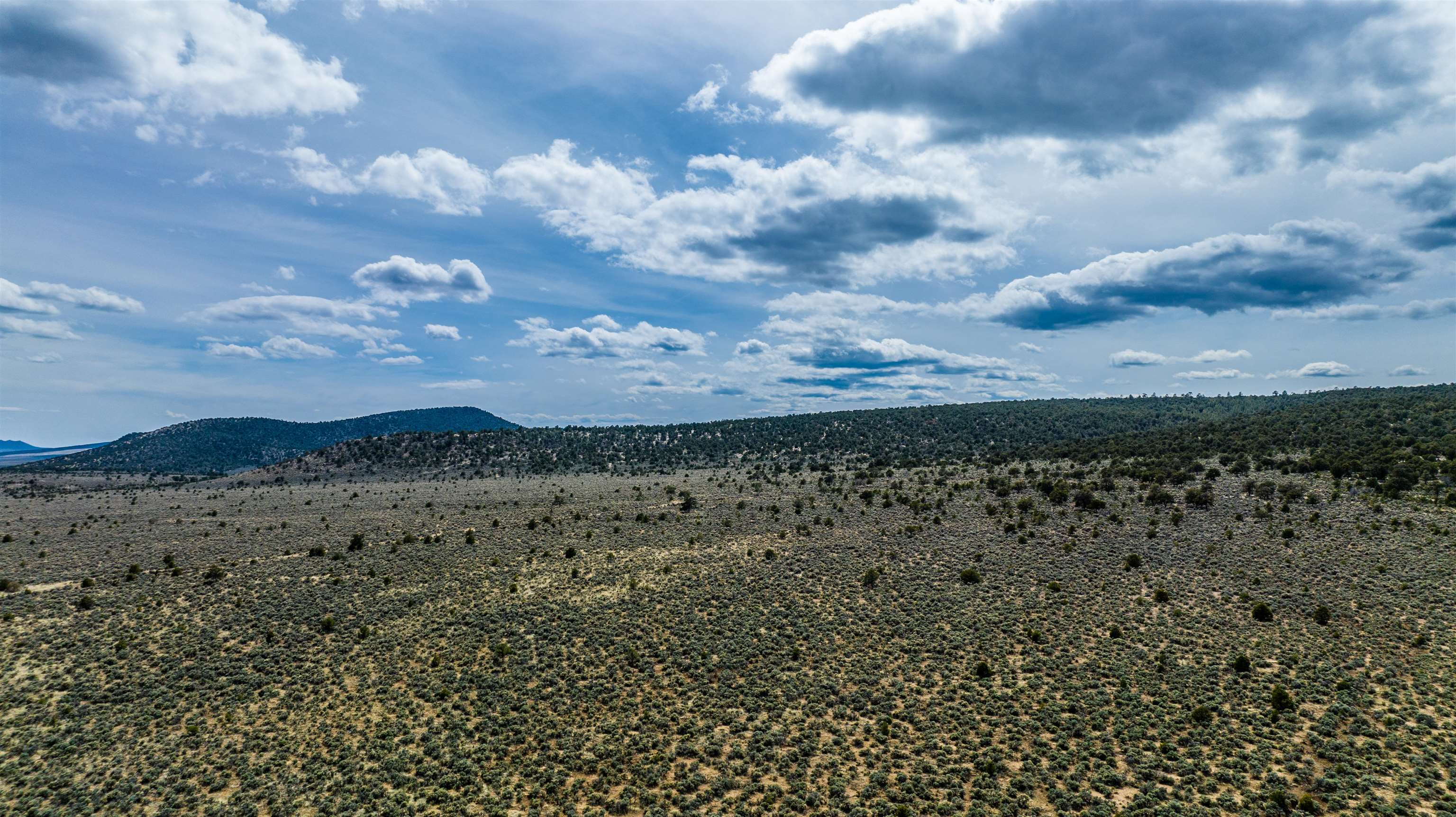 TBD Cerro Montoso, El Prado, New Mexico image 8