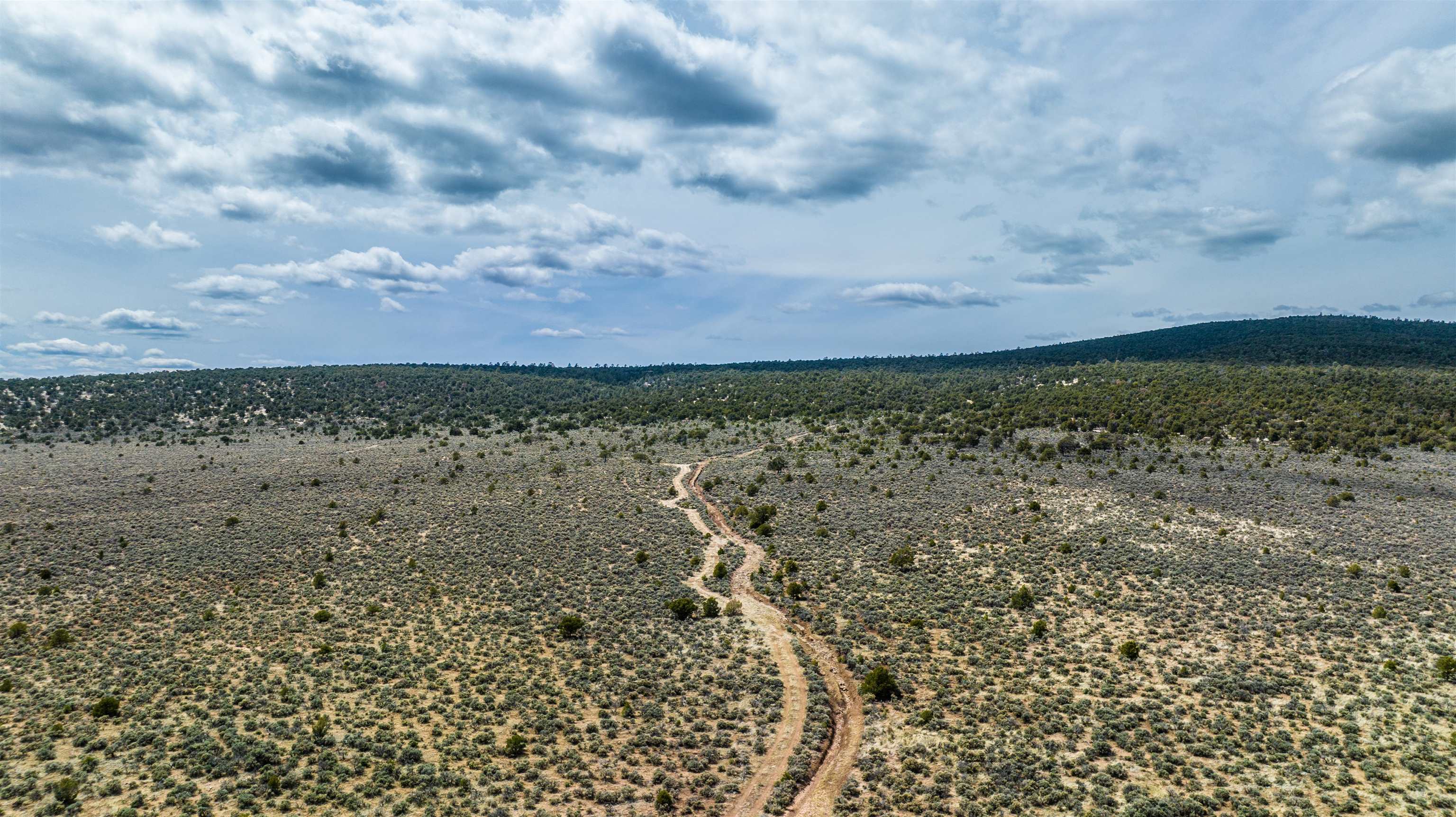 TBD Cerro Montoso, El Prado, New Mexico image 5