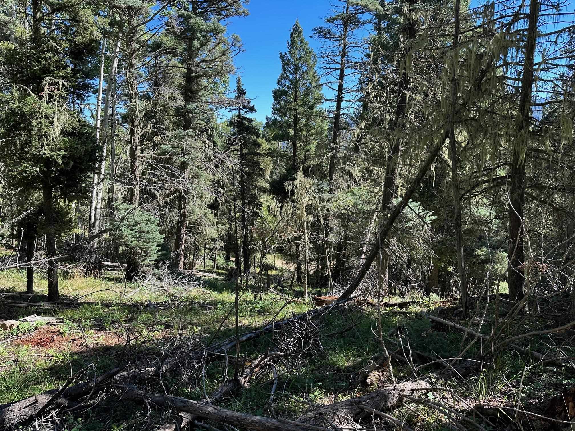 Lot 358 Taos Dr, Angel Fire, New Mexico image 6