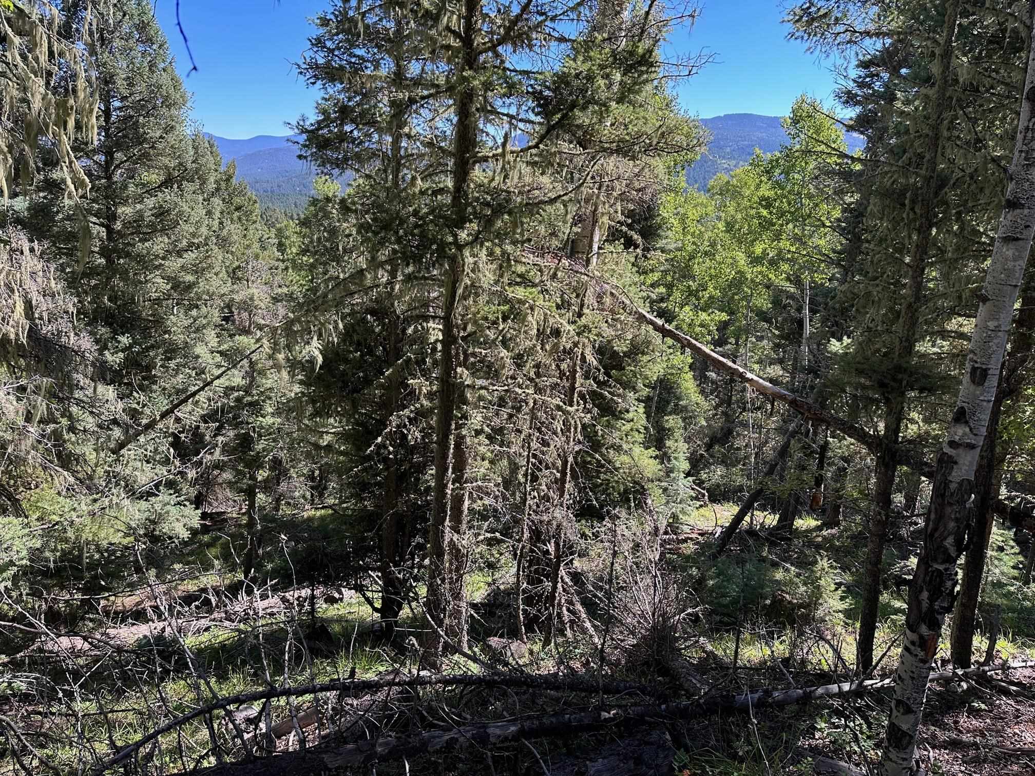 Lot 358 Taos Dr, Angel Fire, New Mexico image 1