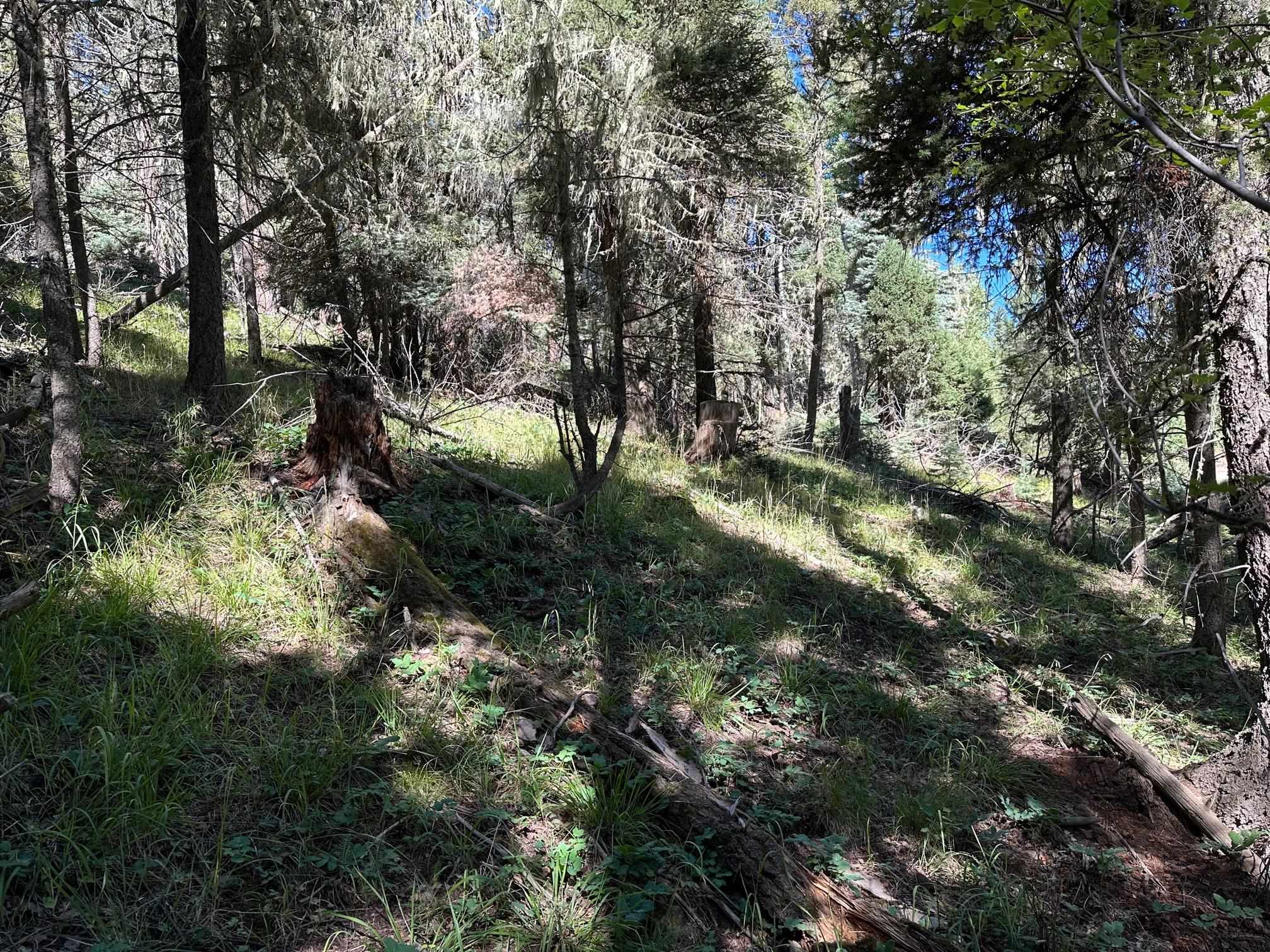 Lot 358 Taos Dr, Angel Fire, New Mexico image 4