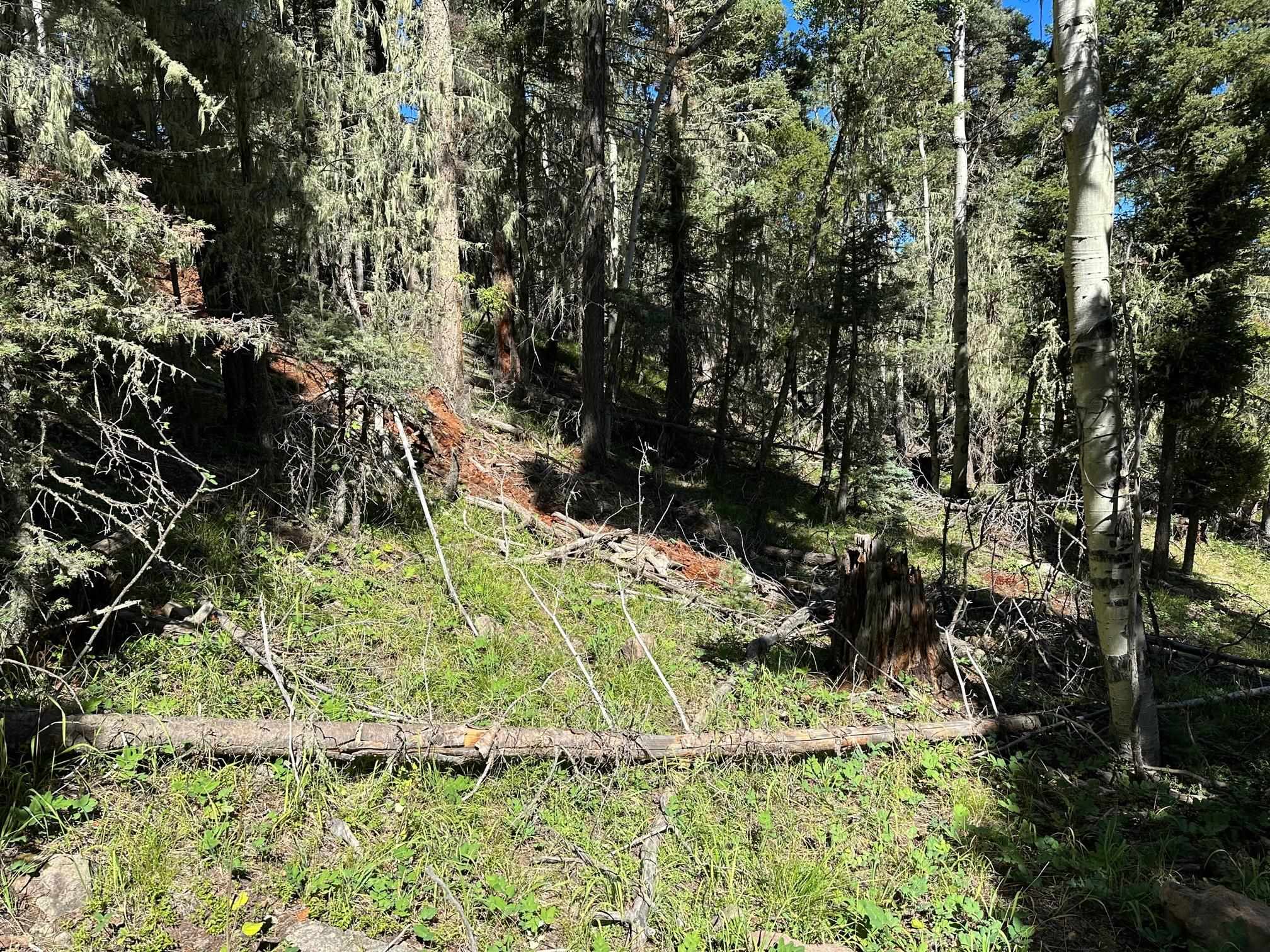 Lot 358 Taos Dr, Angel Fire, New Mexico image 2