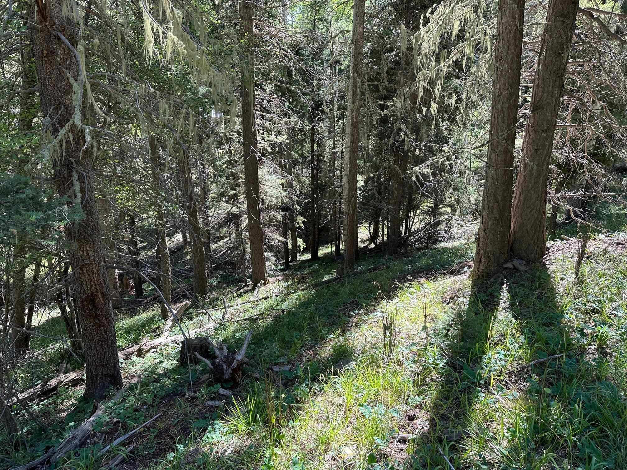 Lot 358 Taos Dr, Angel Fire, New Mexico image 5