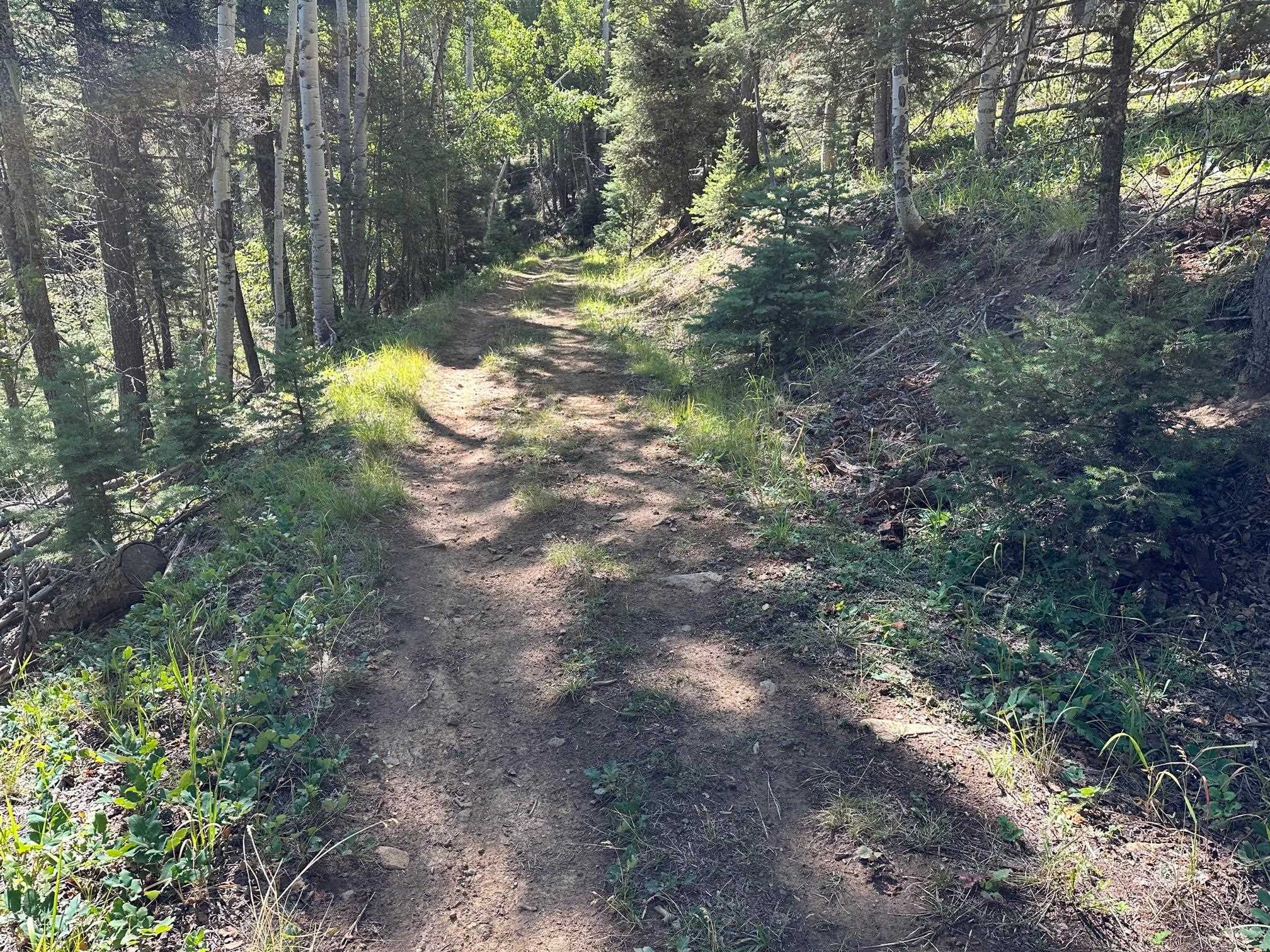 Lot 358 Taos Dr, Angel Fire, New Mexico image 11