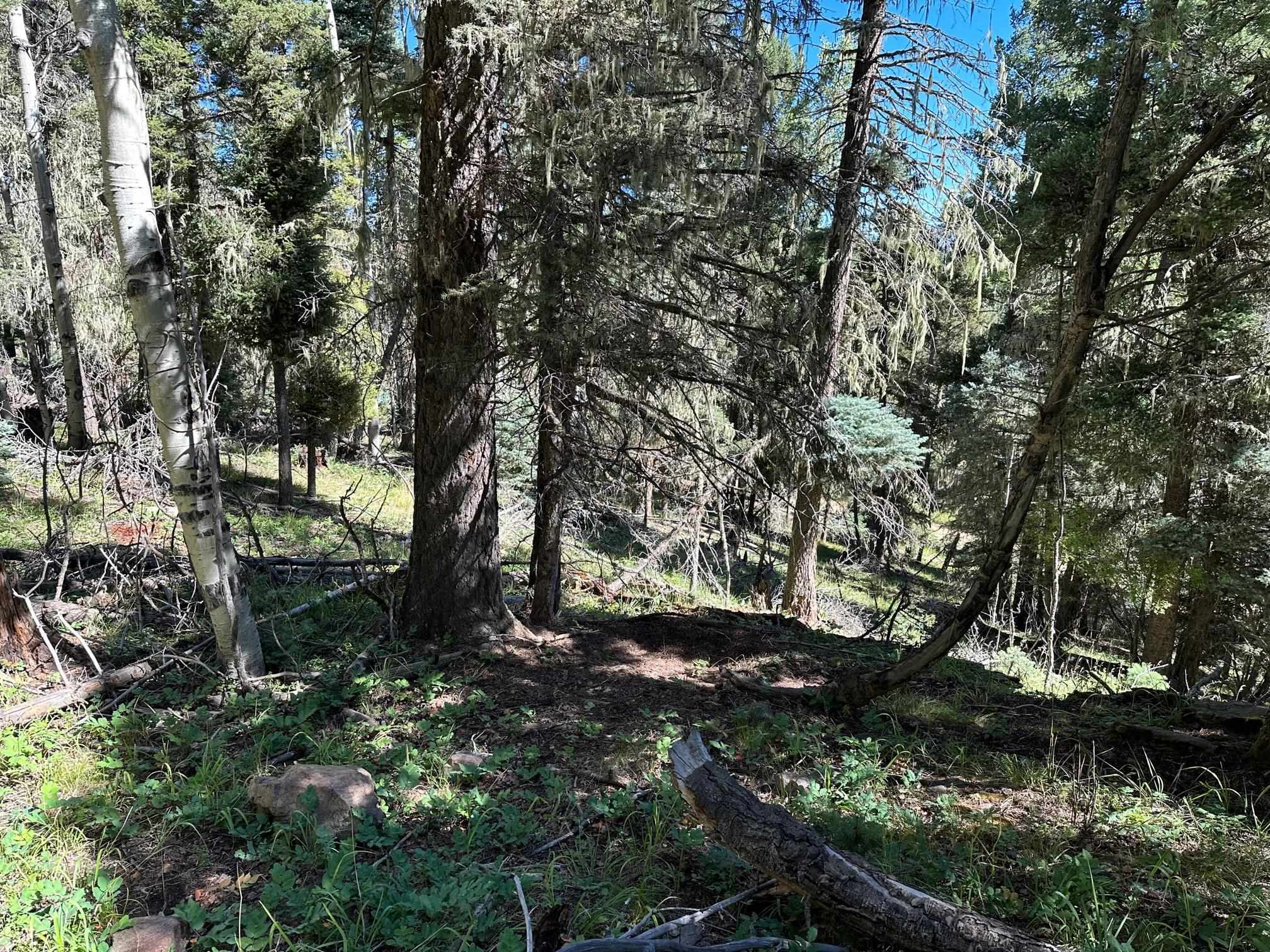 Lot 358 Taos Dr, Angel Fire, New Mexico image 8