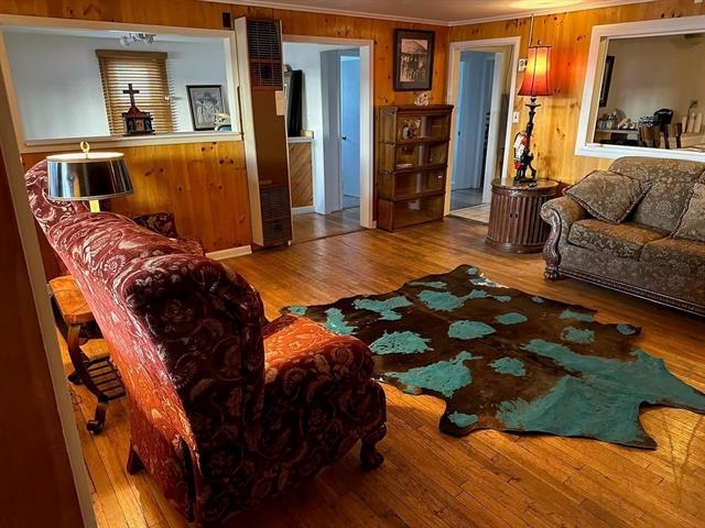 91 Therma, Eagle Nest, New Mexico image 3