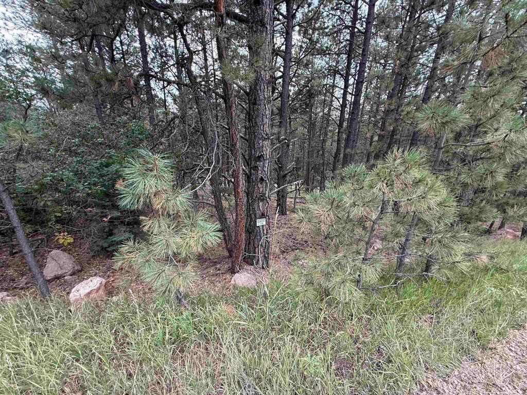 Photo of Lot 158 Aspen Pl, Angel Fire, NM 87710 (MLS # 114049)