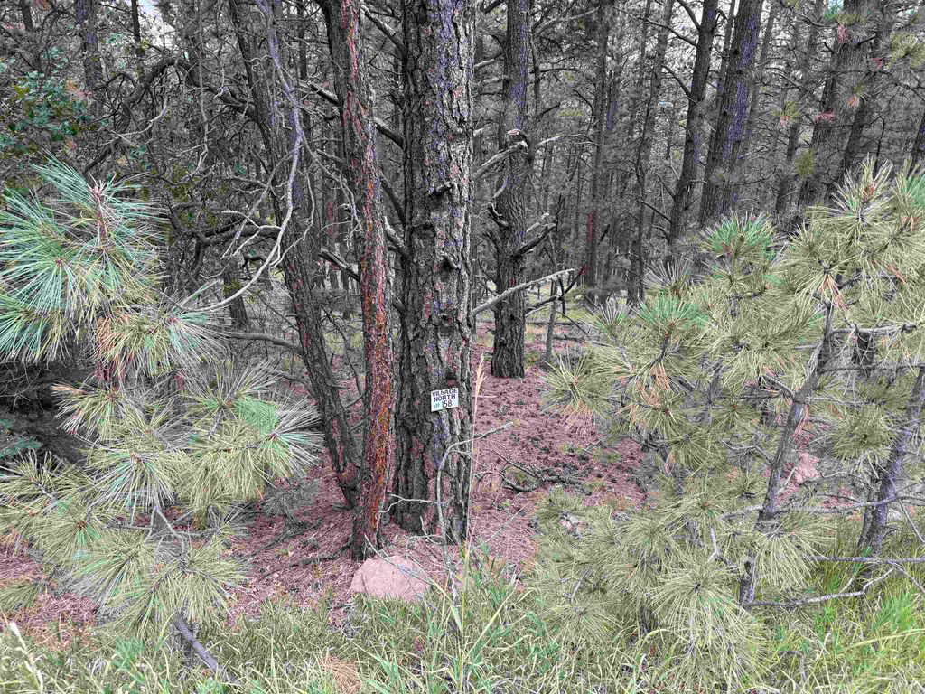 Photo of Lot 158 Aspen Pl, Angel Fire, NM 87710 (MLS # 114049)