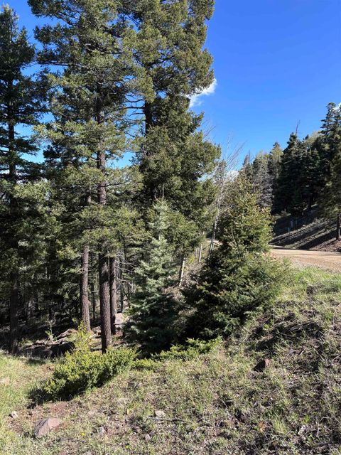 Photo of Lot 581 Panorama Way, Angel Fire, NM 87710 (MLS # 113460)
