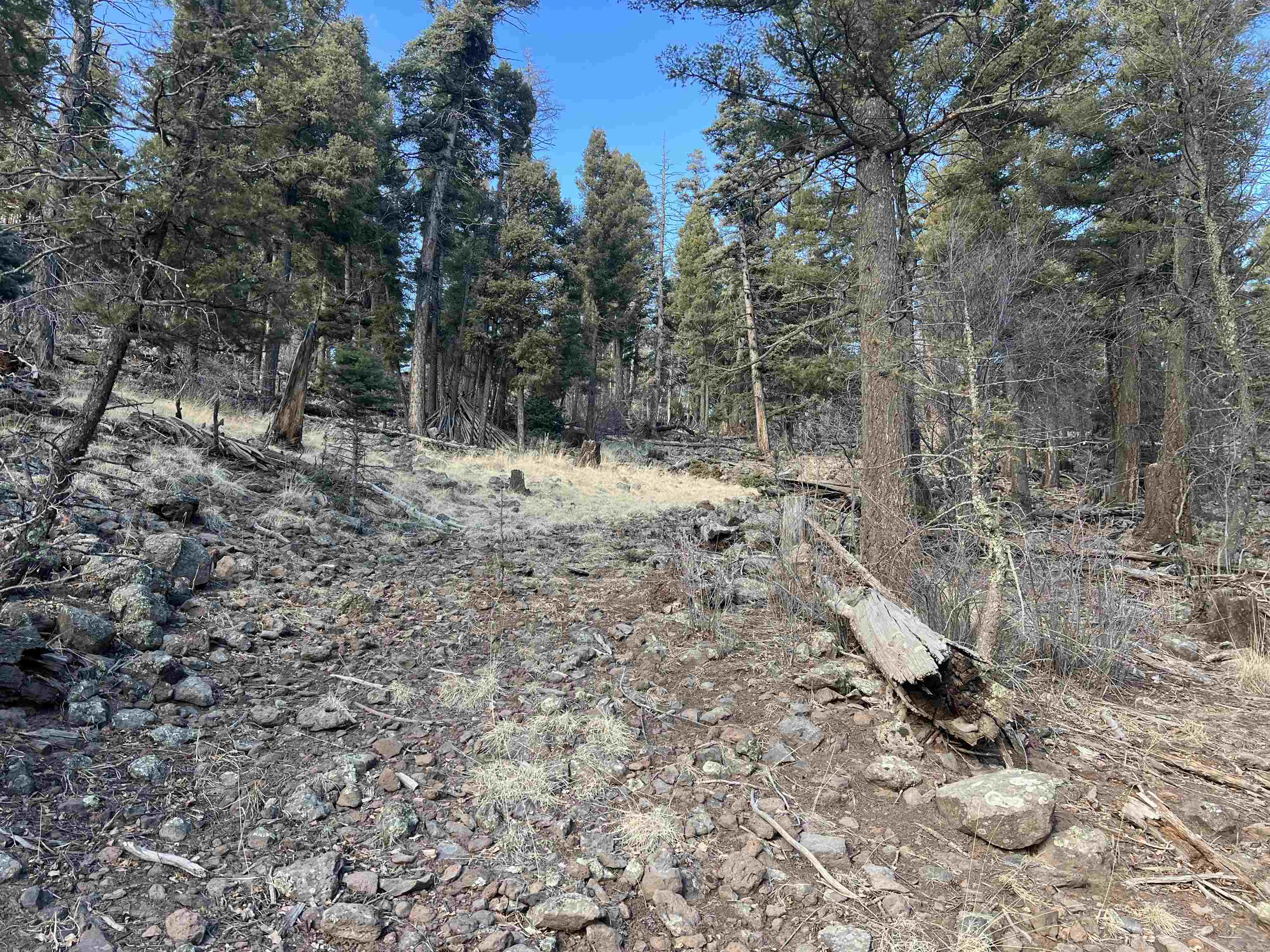1116 El Camino Real, Angel Fire, New Mexico image 7