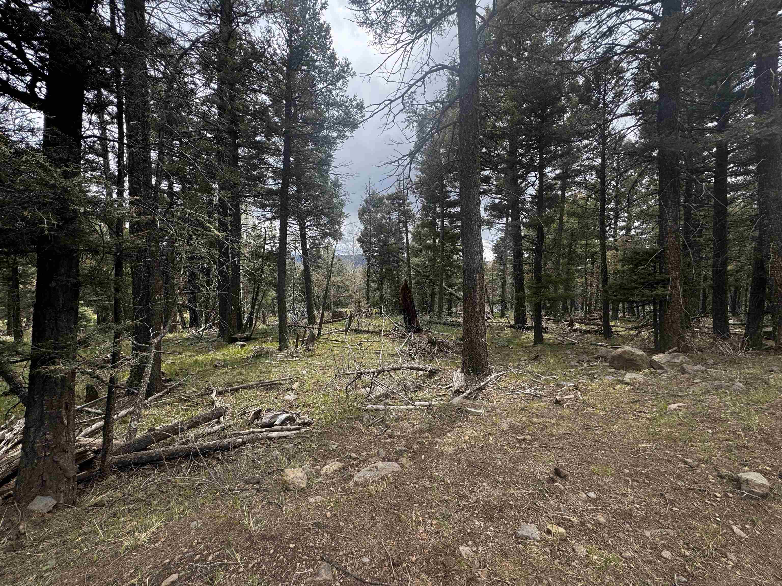 1222 Rainbow Overlook, Angel Fire, New Mexico image 1