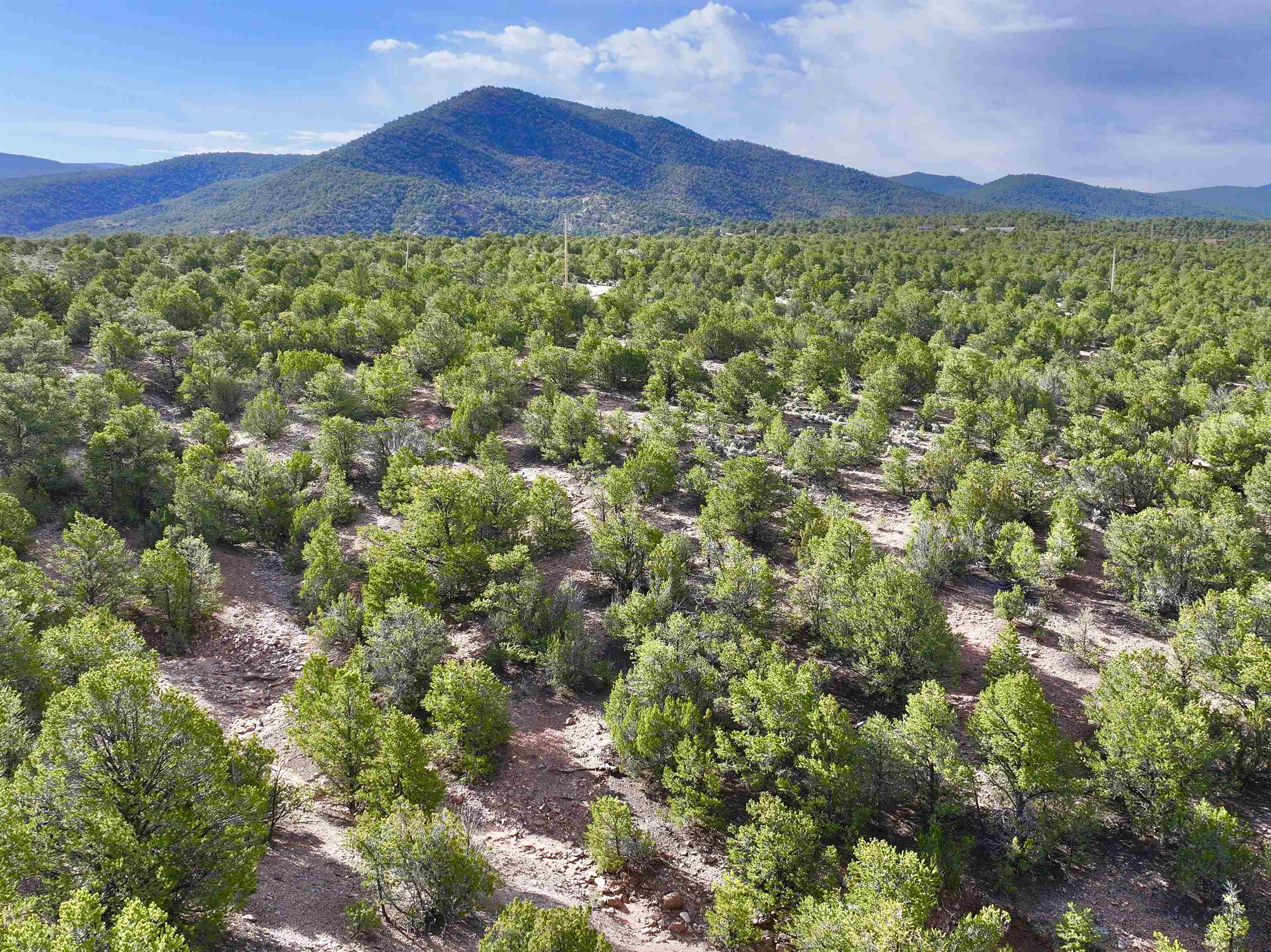 TBD Miranda Canyon Road, Ranchos de Taos, New Mexico image 21