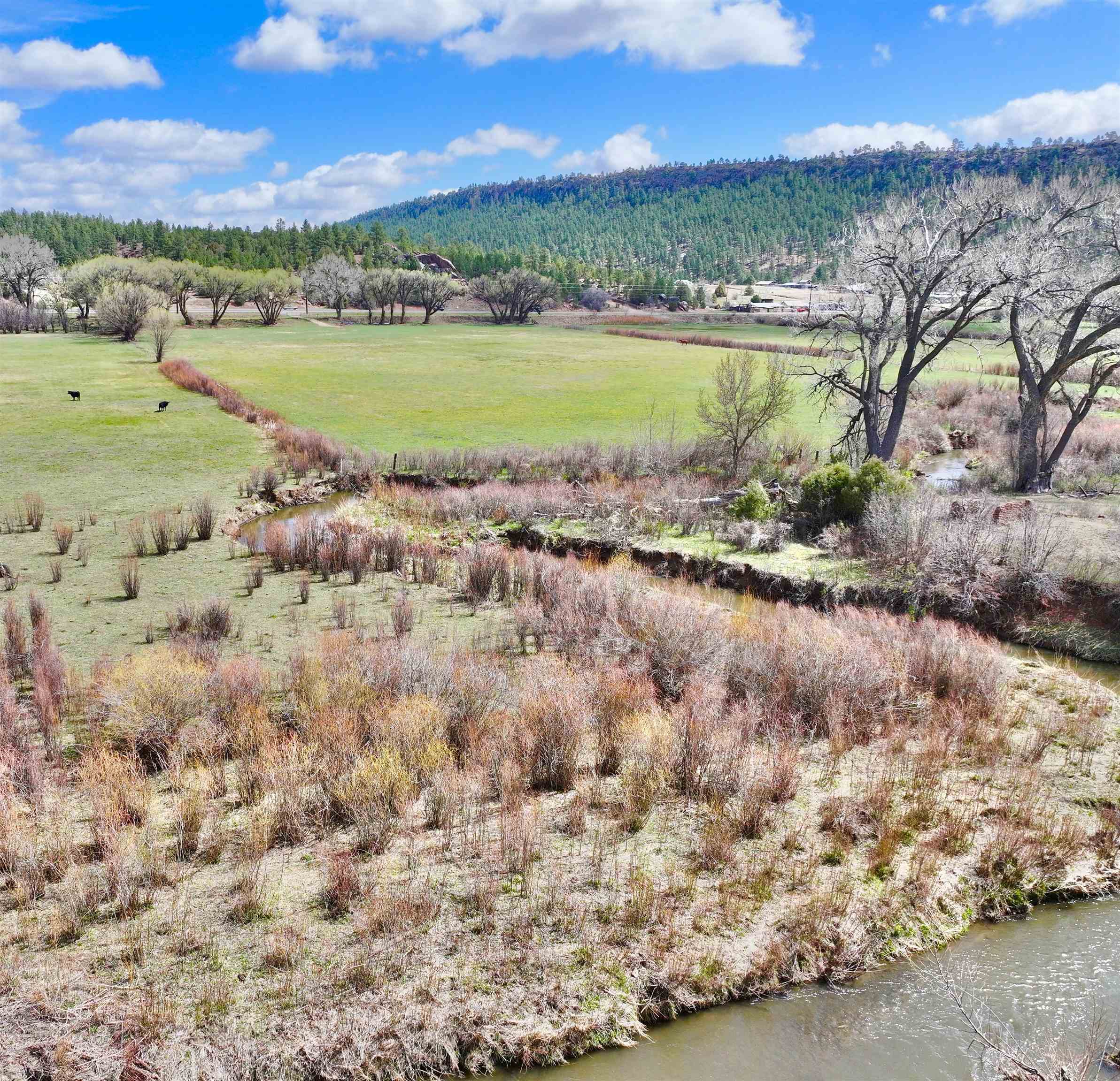 00 State Road 518, Mora, New Mexico image 11