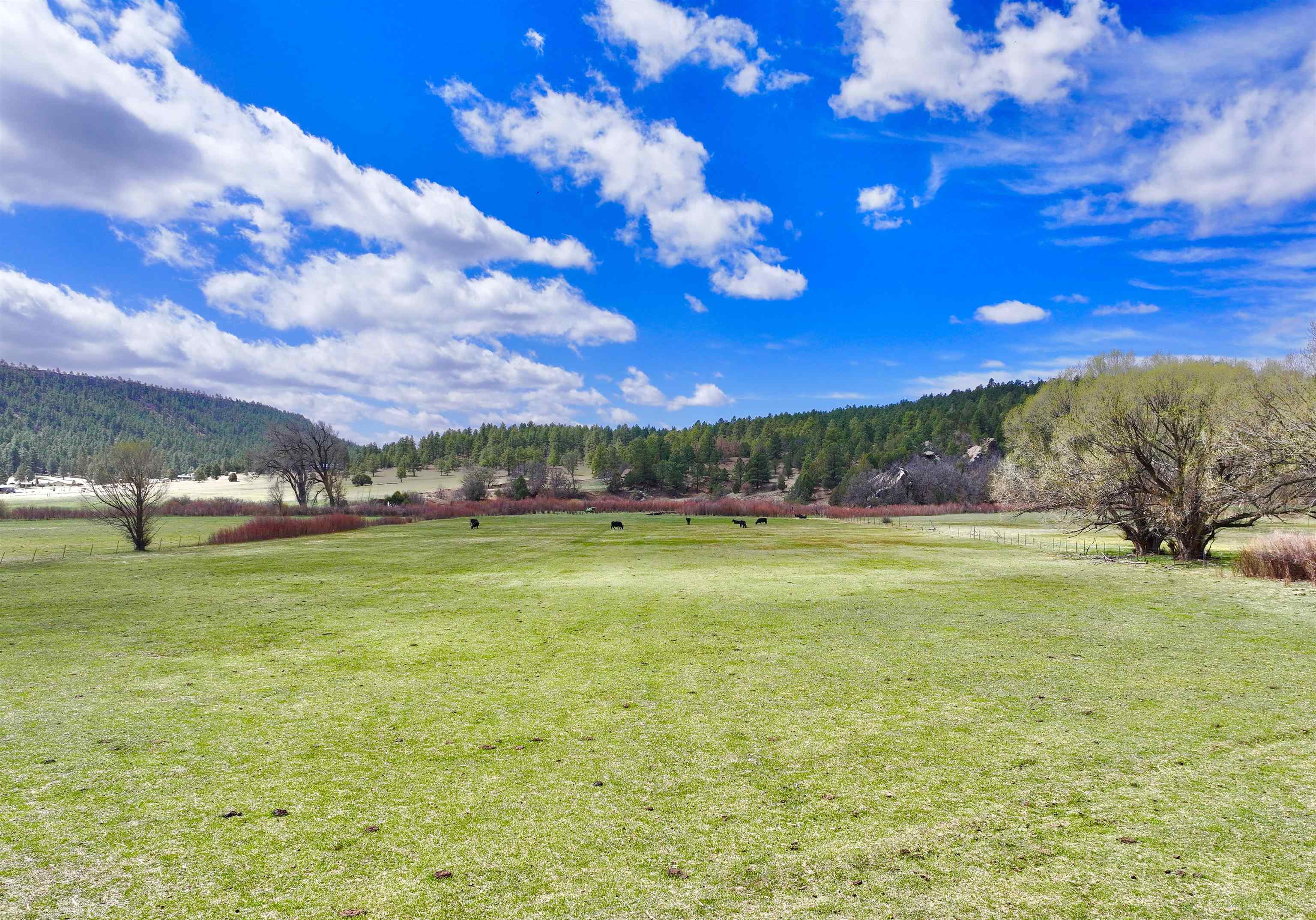 00 State Road 518, Mora, New Mexico image 1