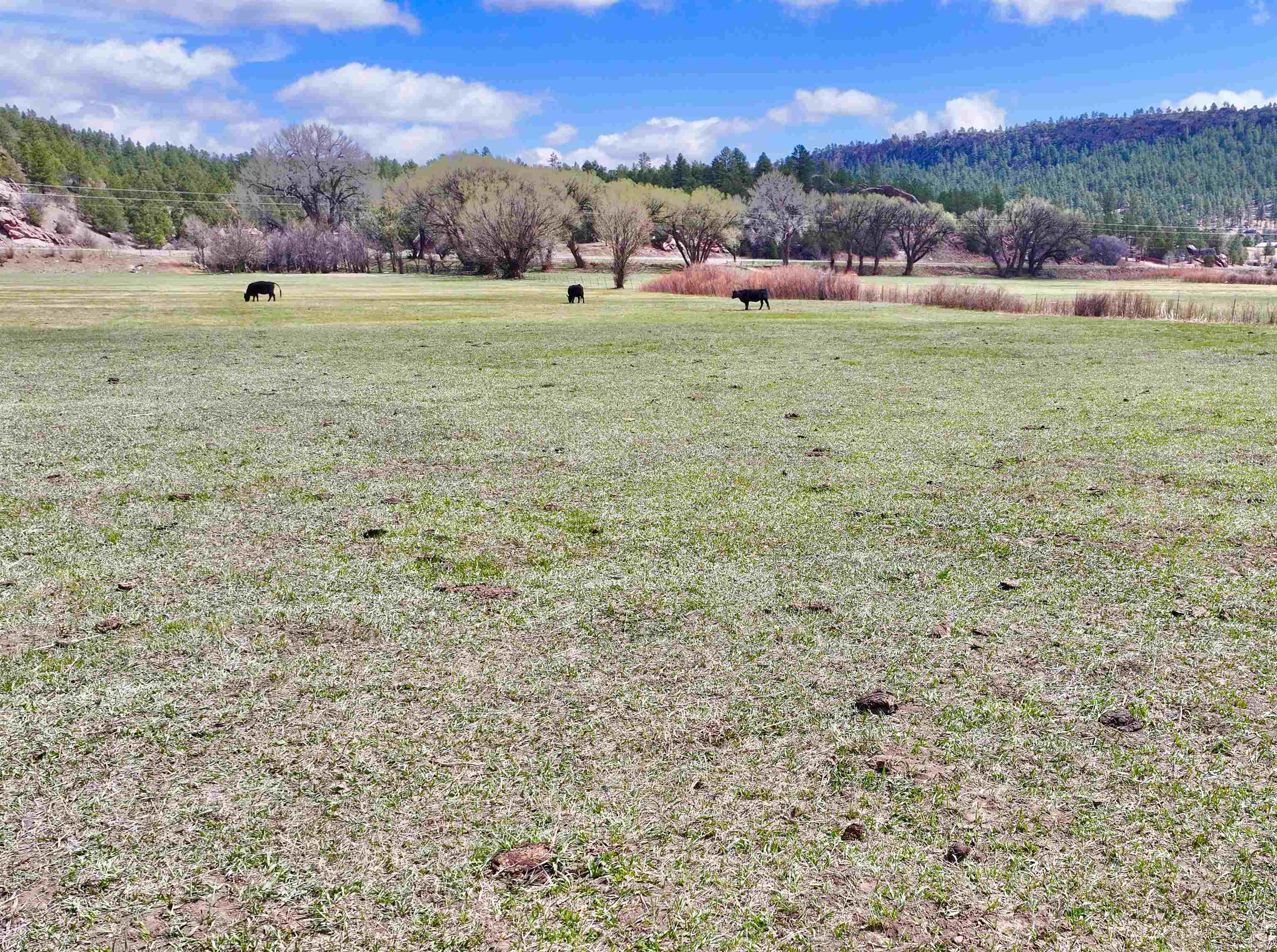 00 State Road 518, Mora, New Mexico image 15