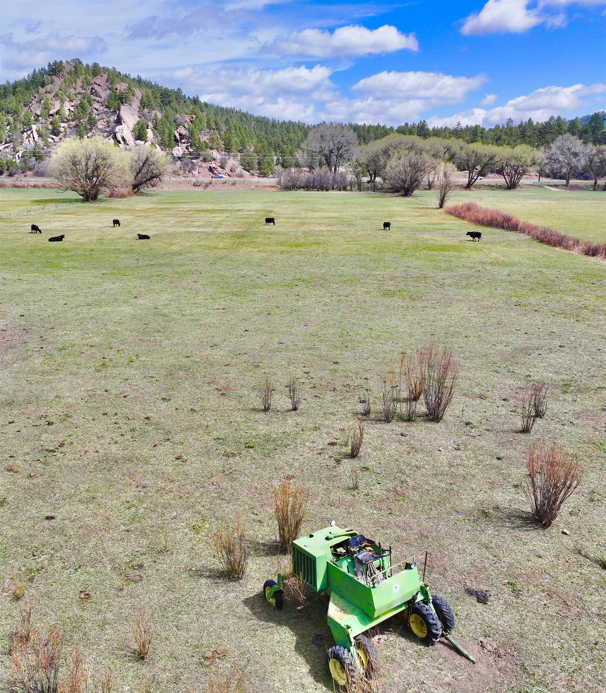 00 State Road 518, Mora, New Mexico image 9