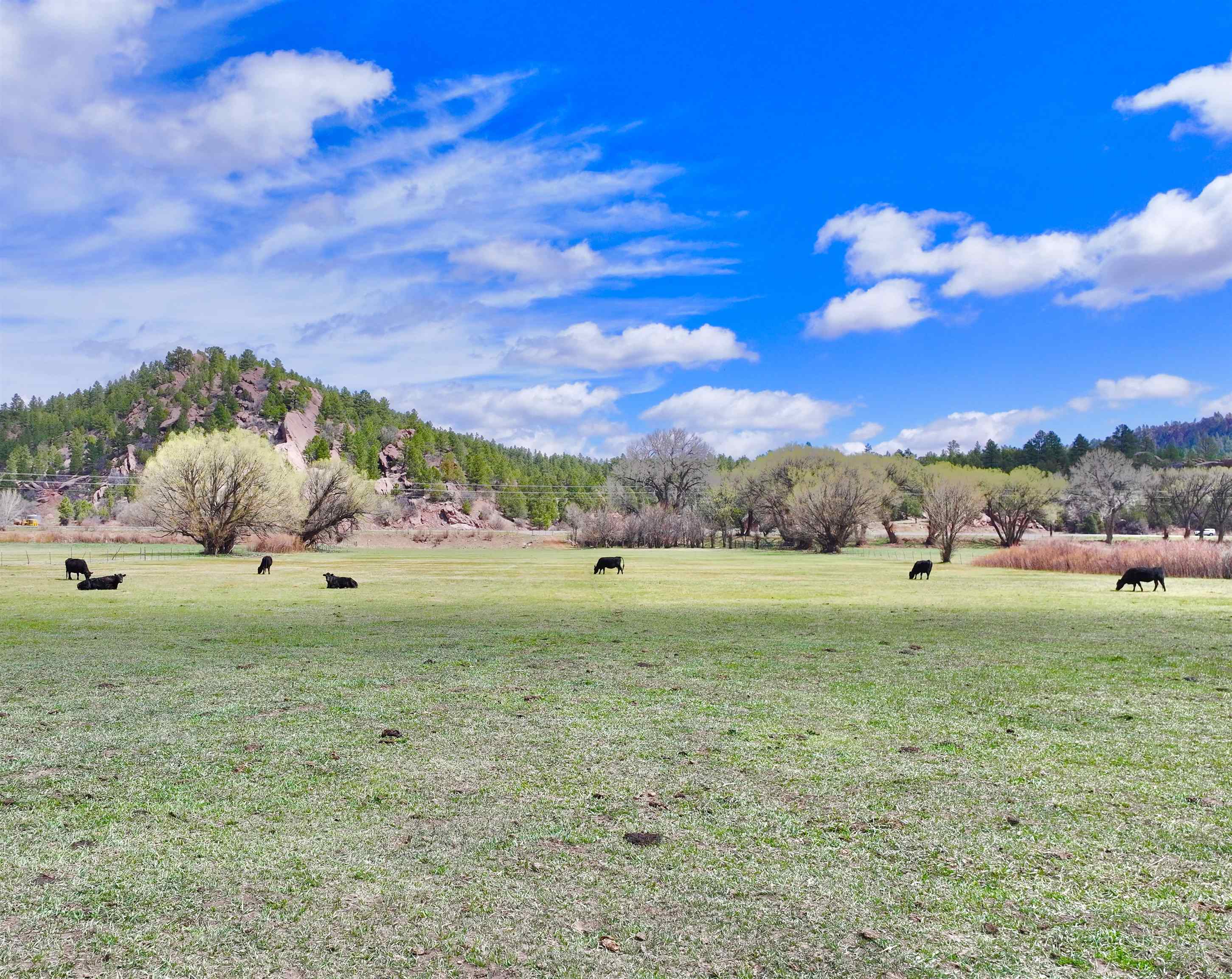 00 State Road 518, Mora, New Mexico image 7