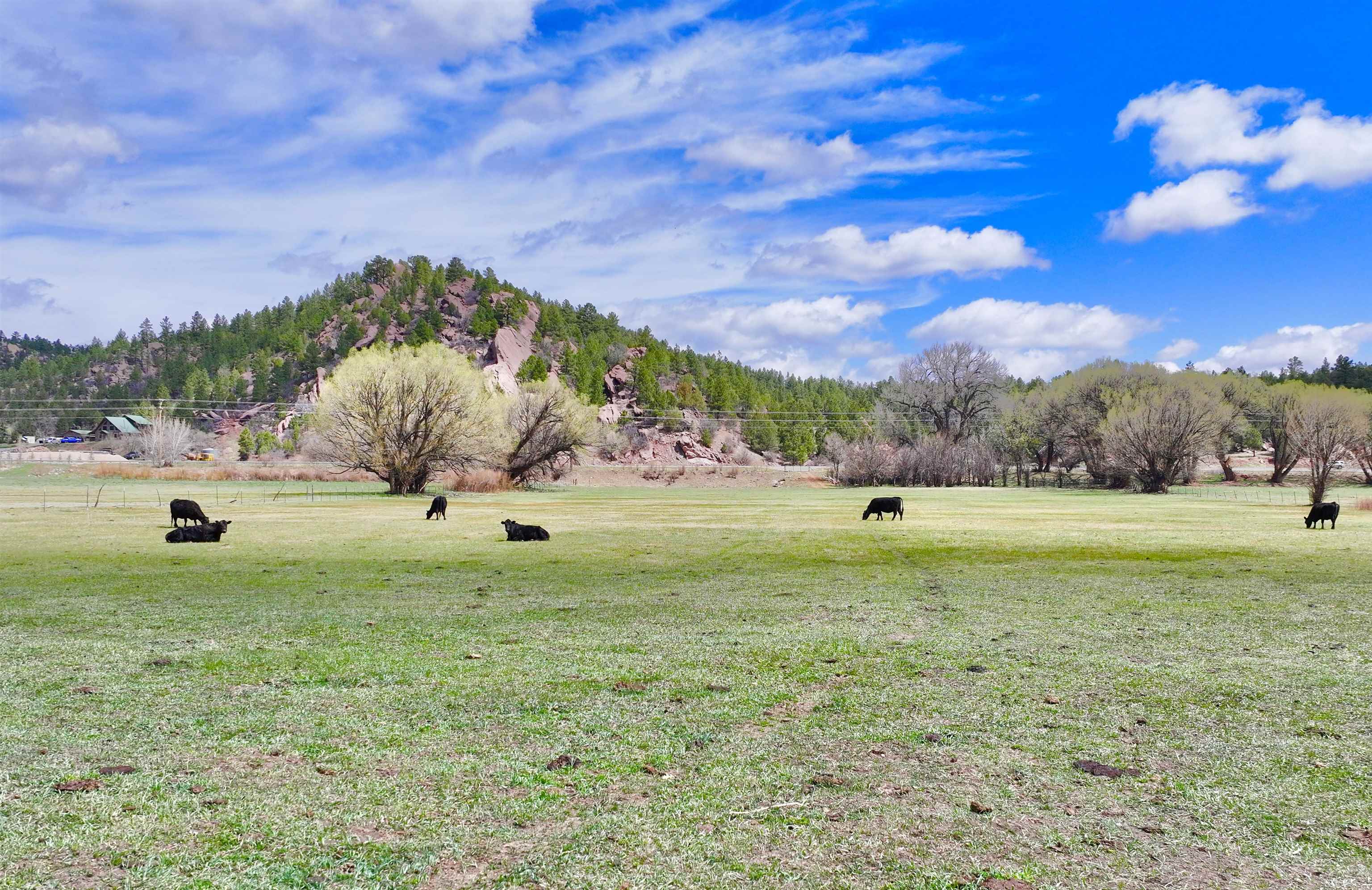 00 State Road 518, Mora, New Mexico image 6