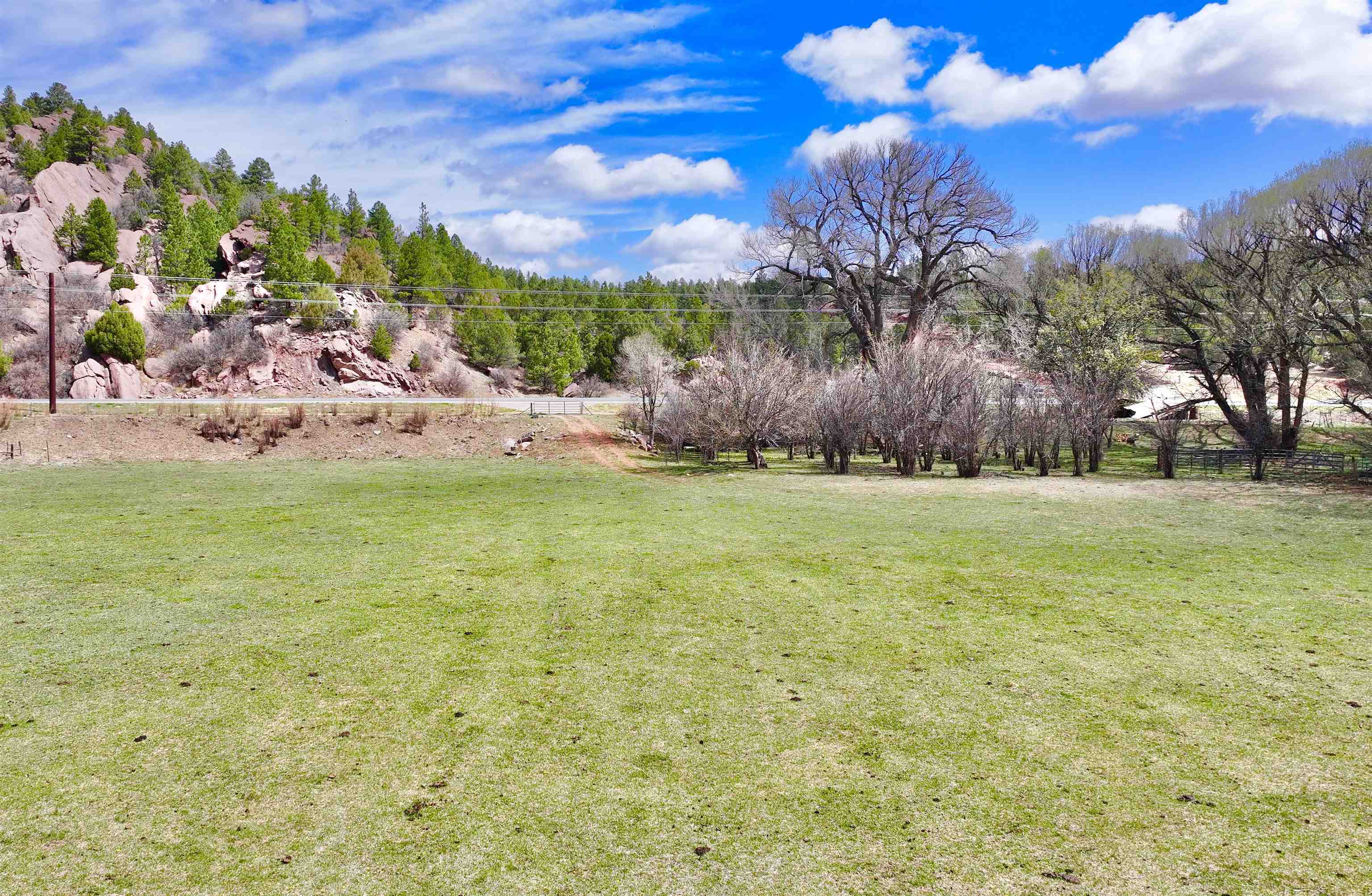 00 State Road 518, Mora, New Mexico image 4