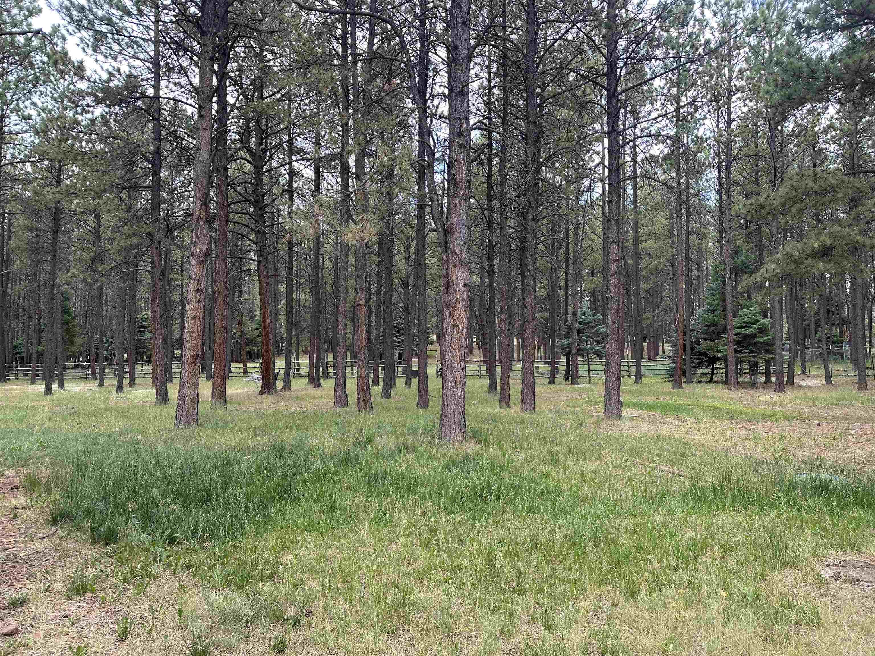 37 Pine Valley Drive, Angel Fire, New Mexico image 29