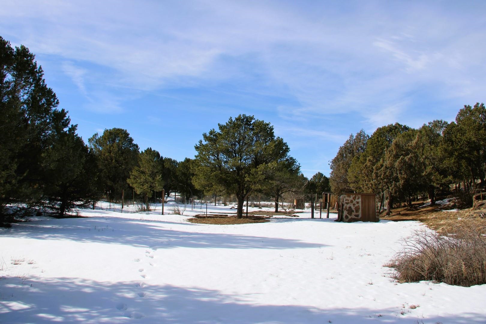 Carson, New Mexico 87517, United States, 3 Bedrooms Bedrooms, ,2 BathroomsBathrooms,Residential,Pending,64500