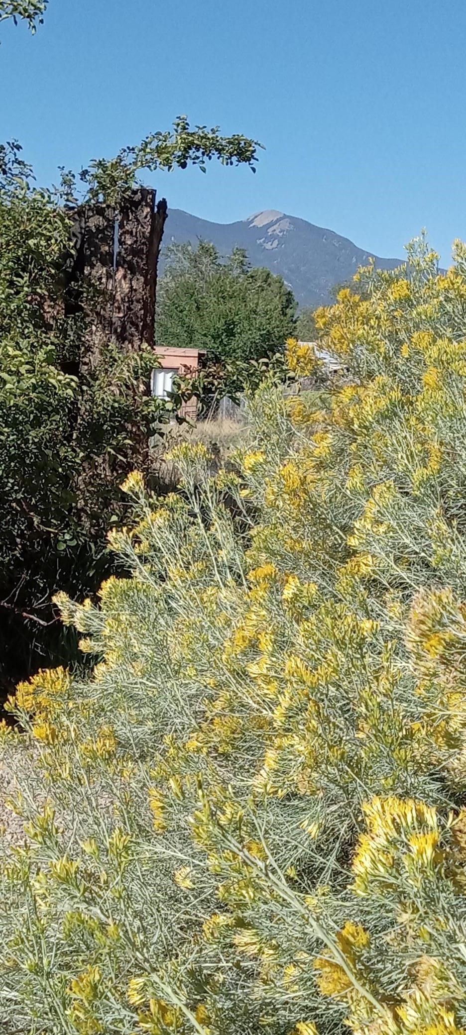 Taos, New Mexico 87571, United States, 4 Bedrooms Bedrooms, ,2 BathroomsBathrooms,Residential,Active,222190