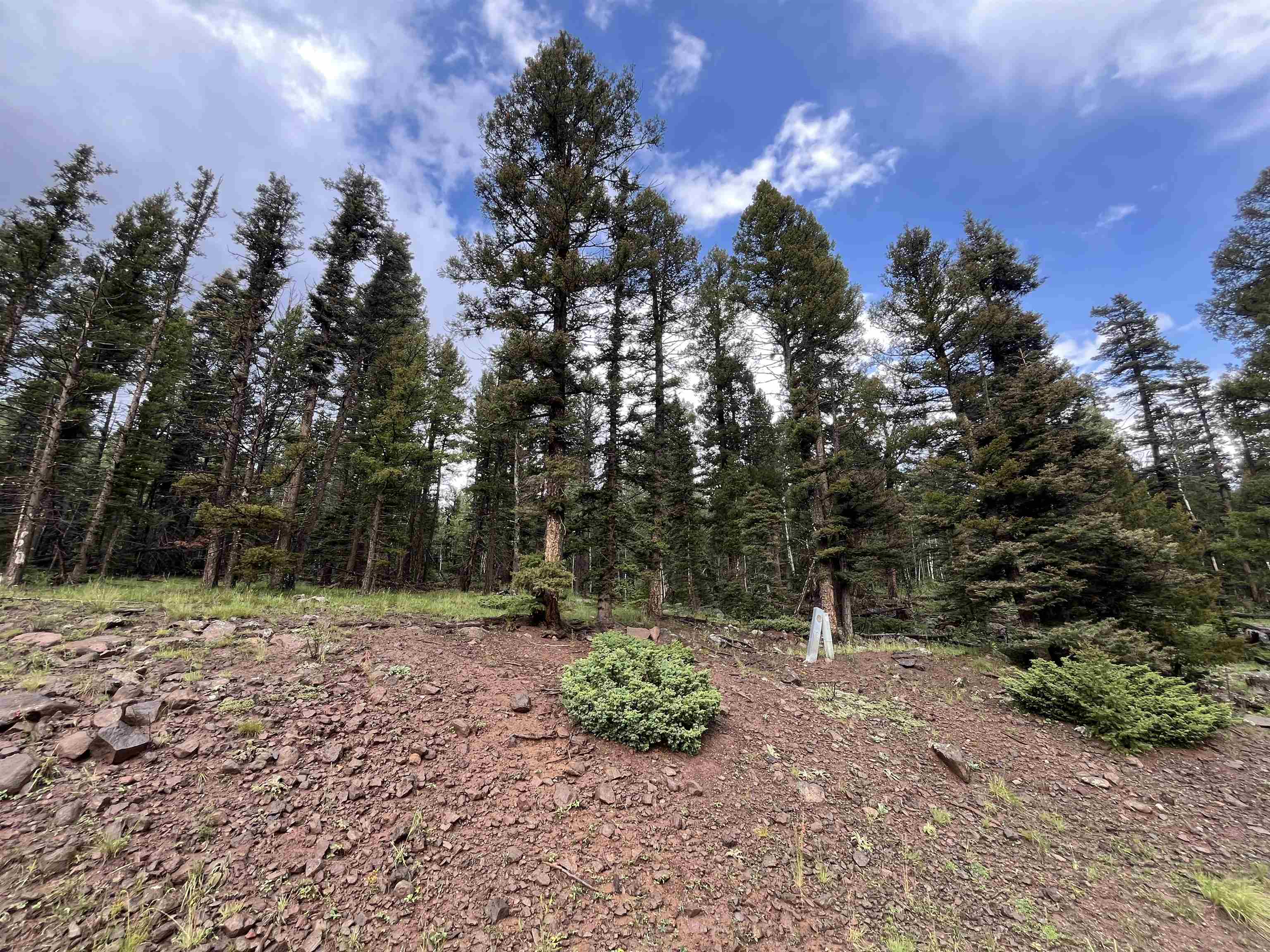 Lot 1498 Vista Del Sur, Angel Fire, New Mexico image 1