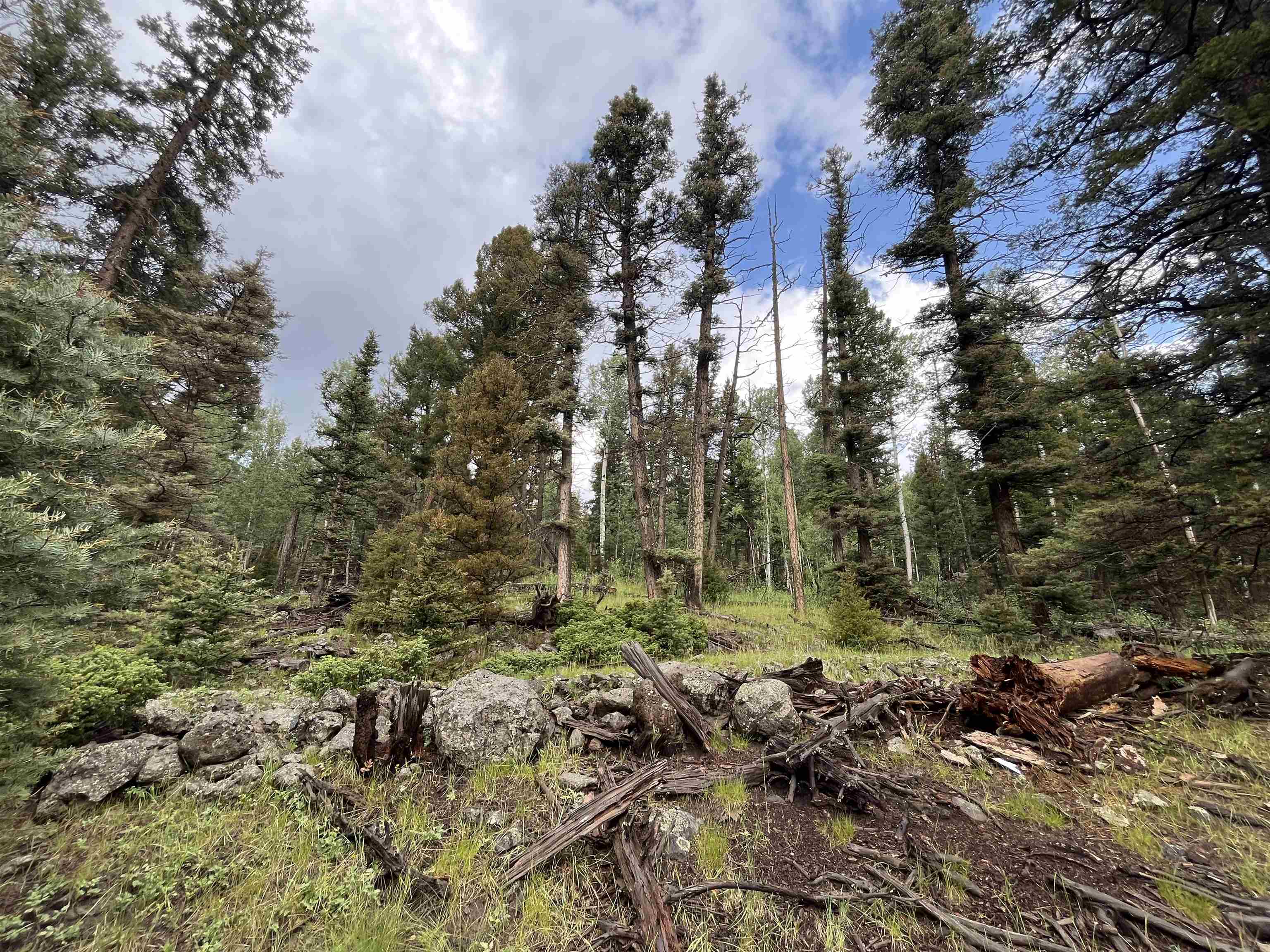 Lot 1498 Vista Del Sur, Angel Fire, New Mexico image 4