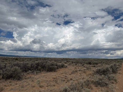 Vacant Land For Sale - LOT 1 Us Highway 64<br/> Tres Piedras, NM 87577