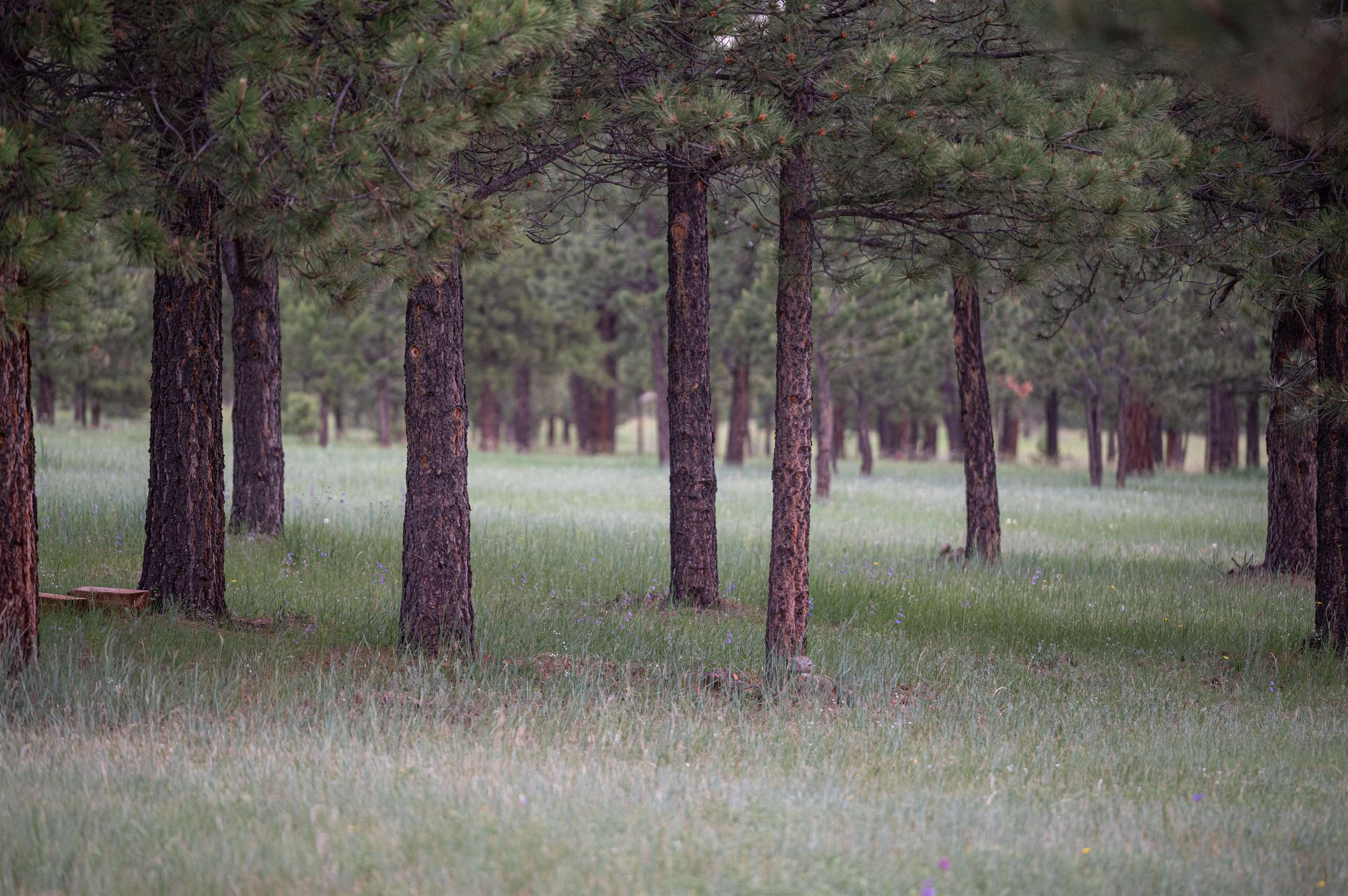 26 Windy Hill Rd B7, Eagle Nest, New Mexico image 11