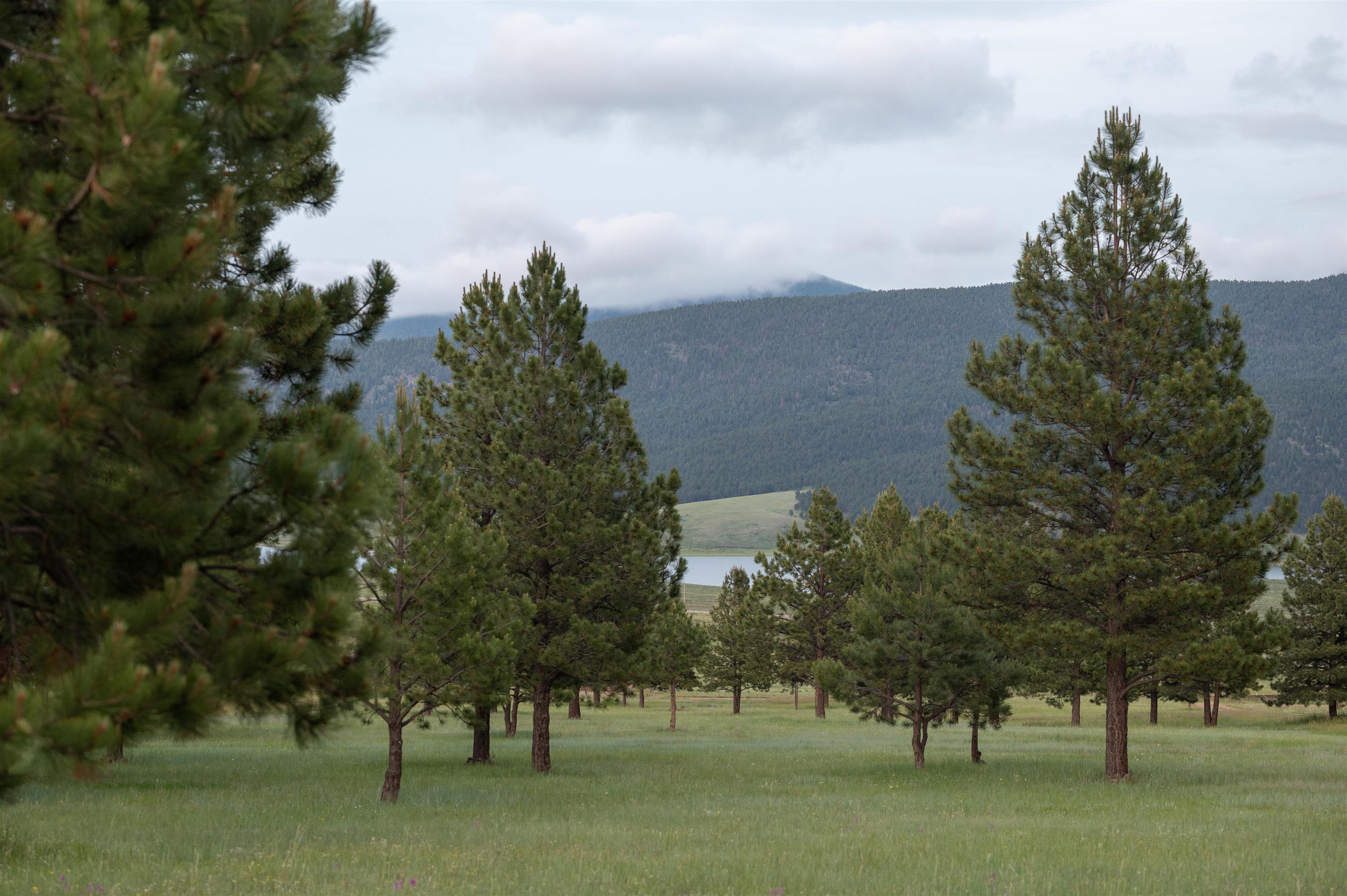 26 Windy Hill Rd B7, Eagle Nest, New Mexico image 14