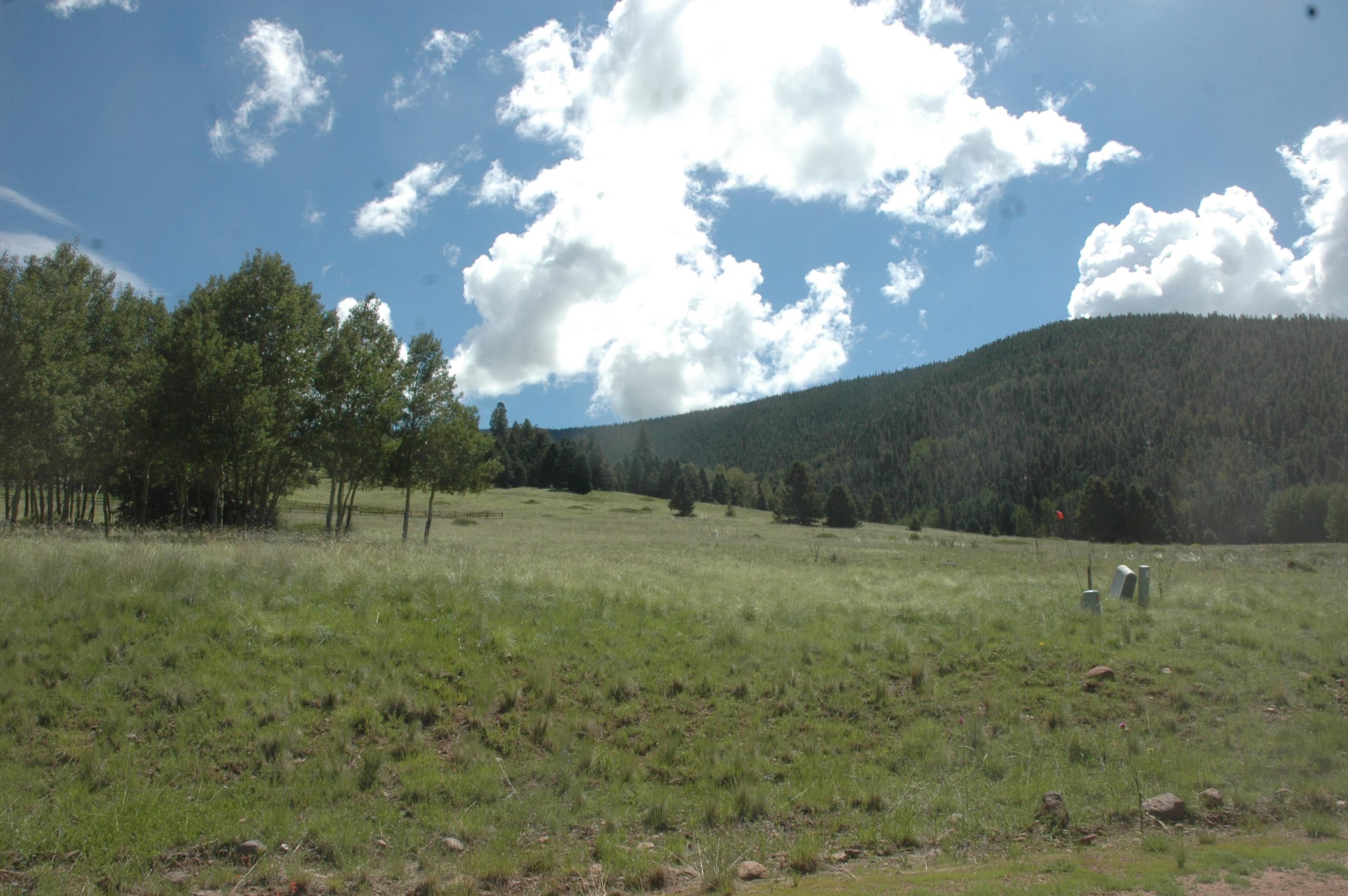 1518a El Camino Real, angel fire, New Mexico image 1