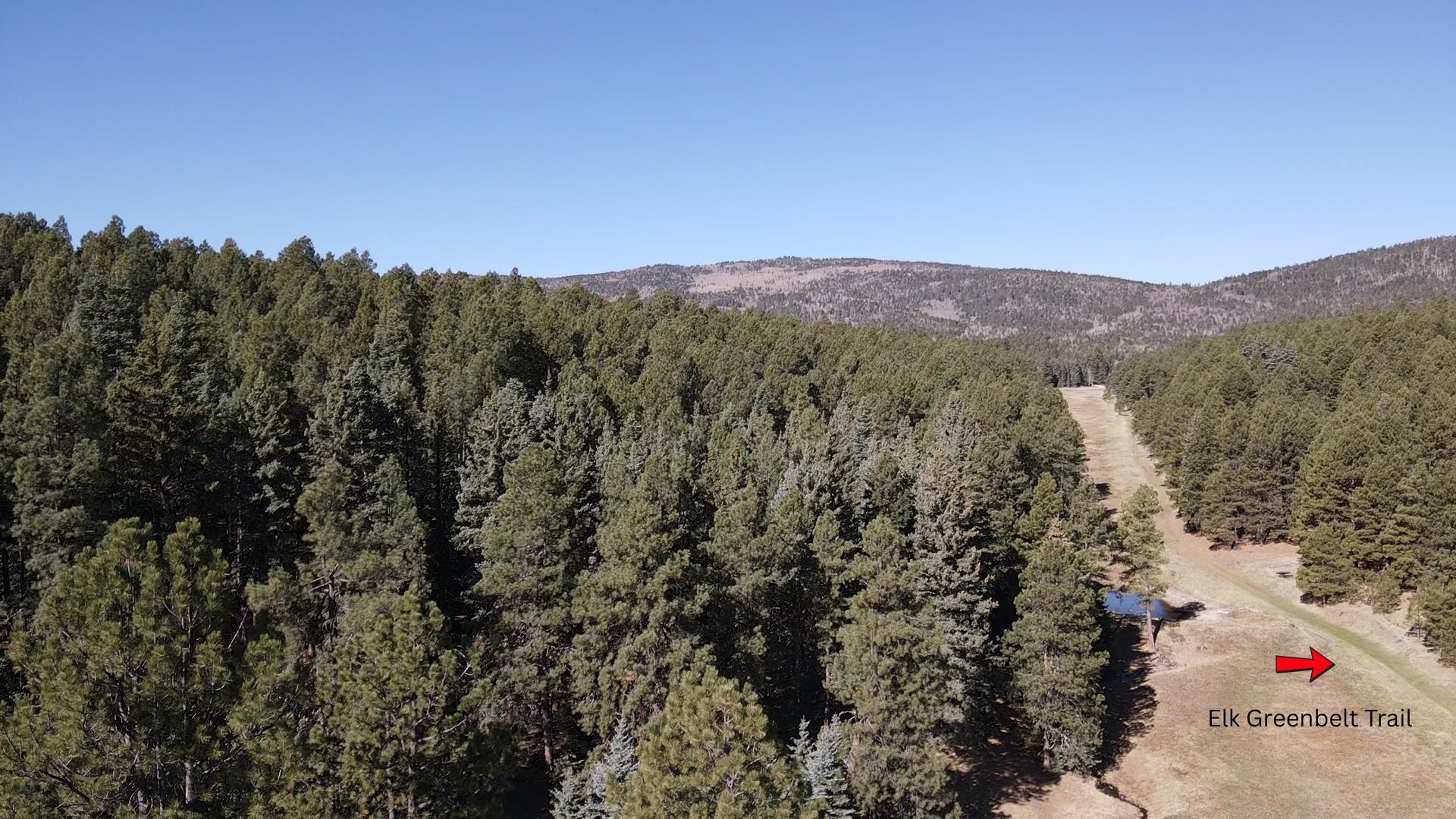 Lot 25 San Andres Terrace, Angel Fire, New Mexico image 1