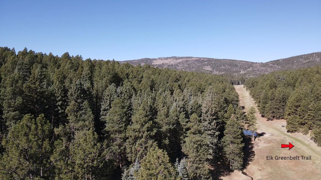 Photo of Lot 25 San Andres Terrace, Angel Fire, NM 87710 (MLS # 113185)