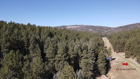 Vacant Land For Sale - LOT 25 San Andres Terrace<br/> Angel Fire, NM 87710