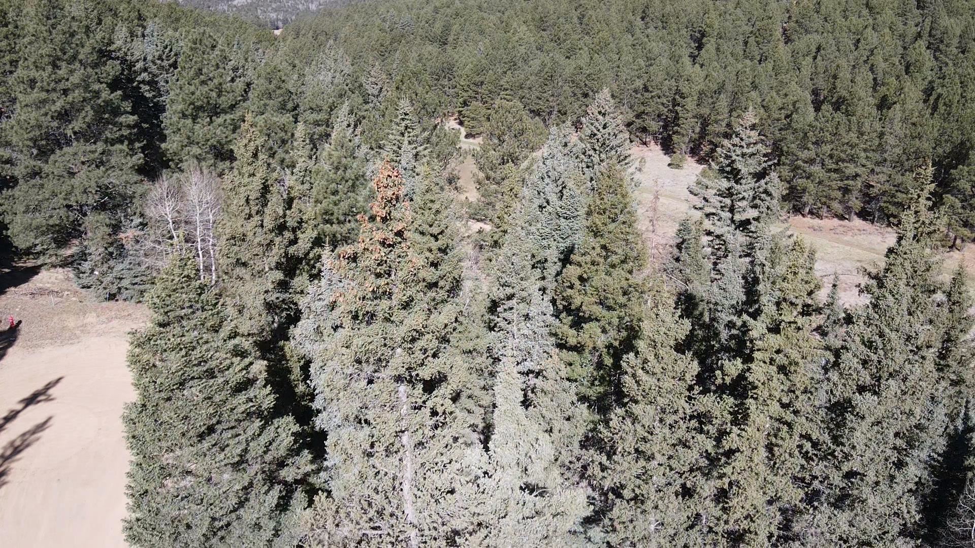 Lot 25 San Andres Terrace, Angel Fire, New Mexico image 4
