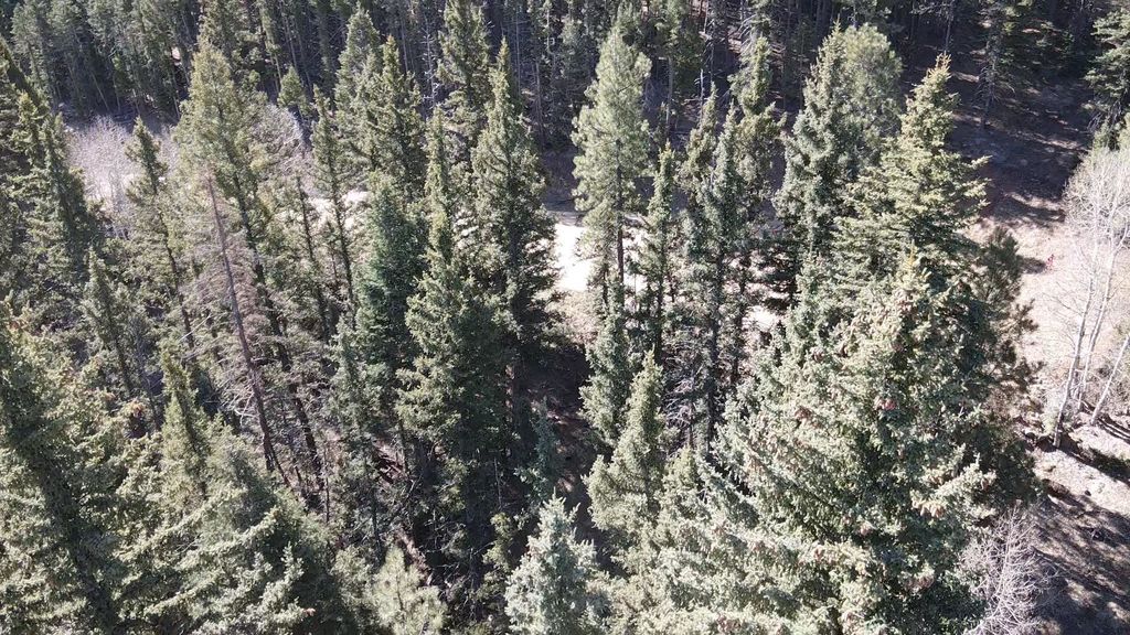 Photo of Lot 25 San Andres Terrace, Angel Fire, NM 87710 (MLS # 113185)