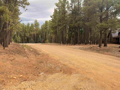 Vacant Land For Sale - LOT 929 Alamosa Ter<br/> Angel Fire, NM 87710