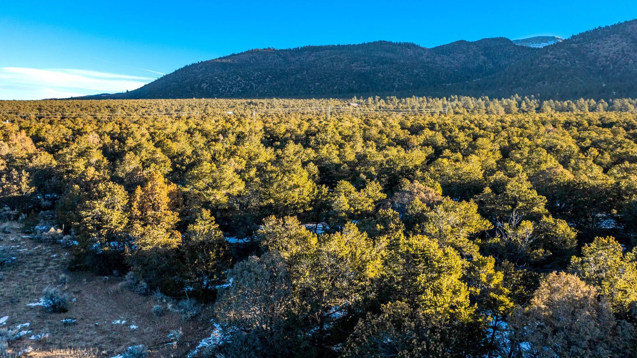 8 Echo Forest Road, Questa, Texas image 5