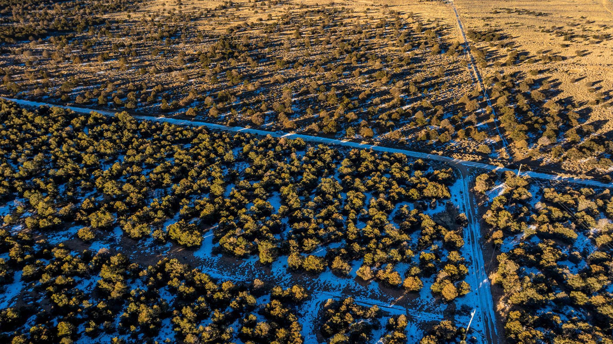 8 Echo Forest Road, Questa, Texas image 12