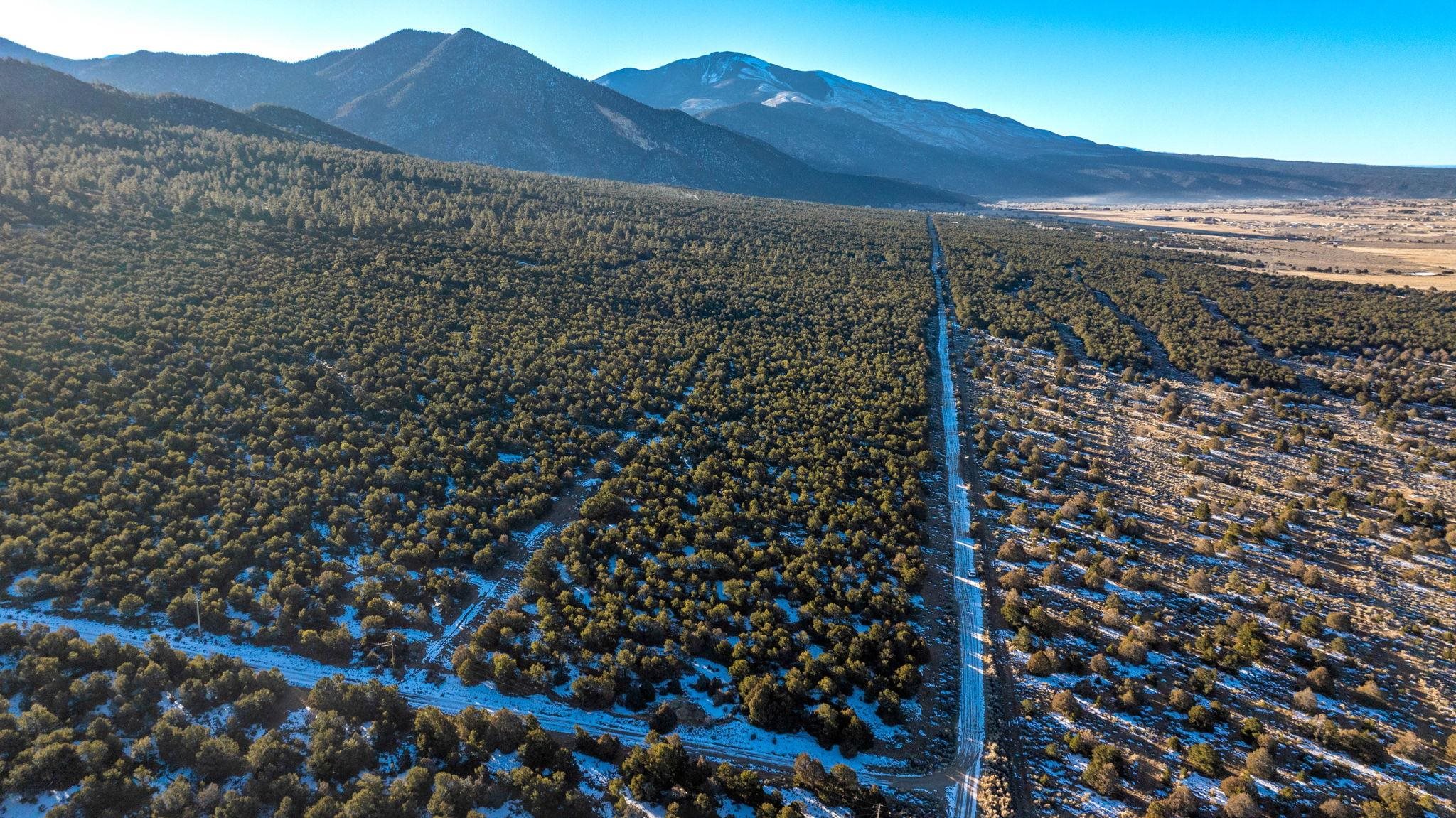 8 Echo Forest Road, Questa, Texas image 11