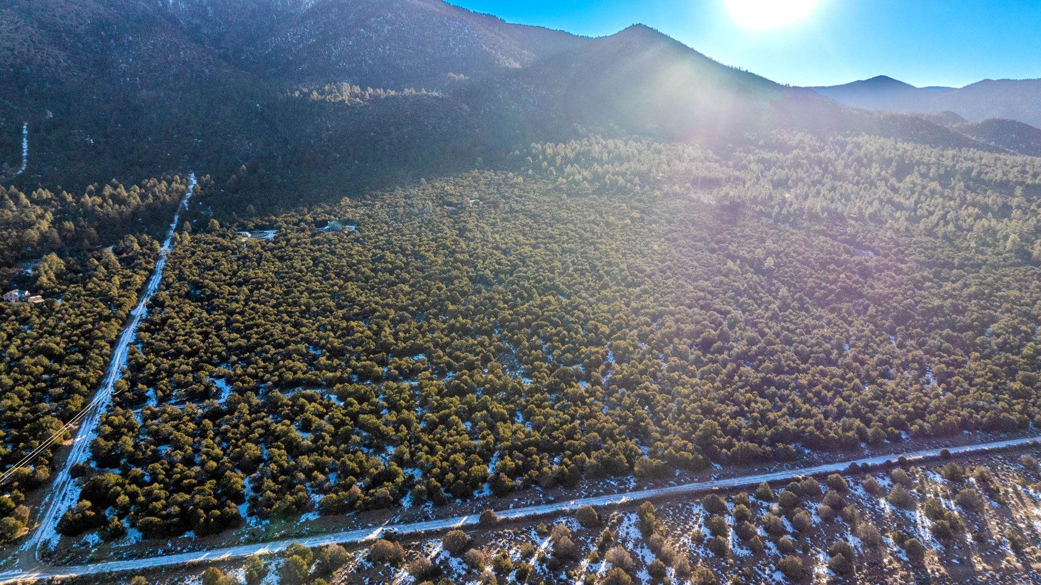 8 Echo Forest Road, Questa, Texas image 8