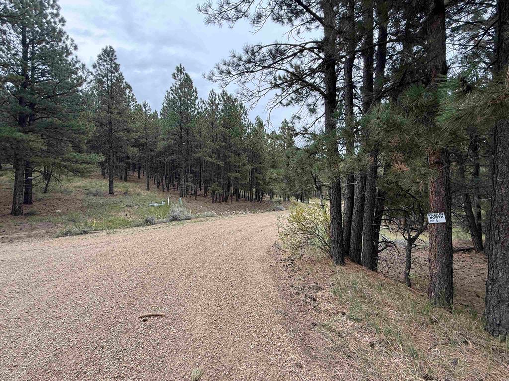 Photo of Lot 5 Valley Rd, Angel Fire, NM 87710 (MLS # 114046)