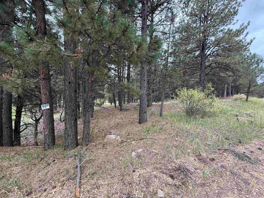 Photo of Lot 5 Valley Rd, Angel Fire, NM 87710 (MLS # 114046)