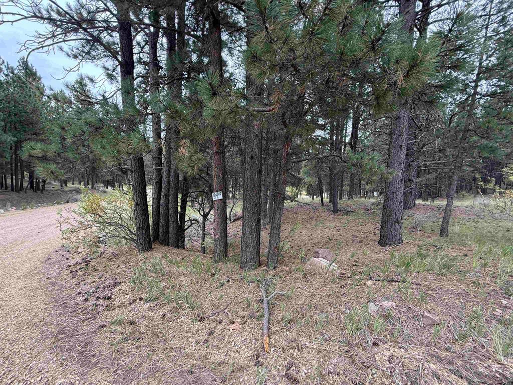 Photo of Lot 5 Valley Rd, Angel Fire, NM 87710 (MLS # 114046)